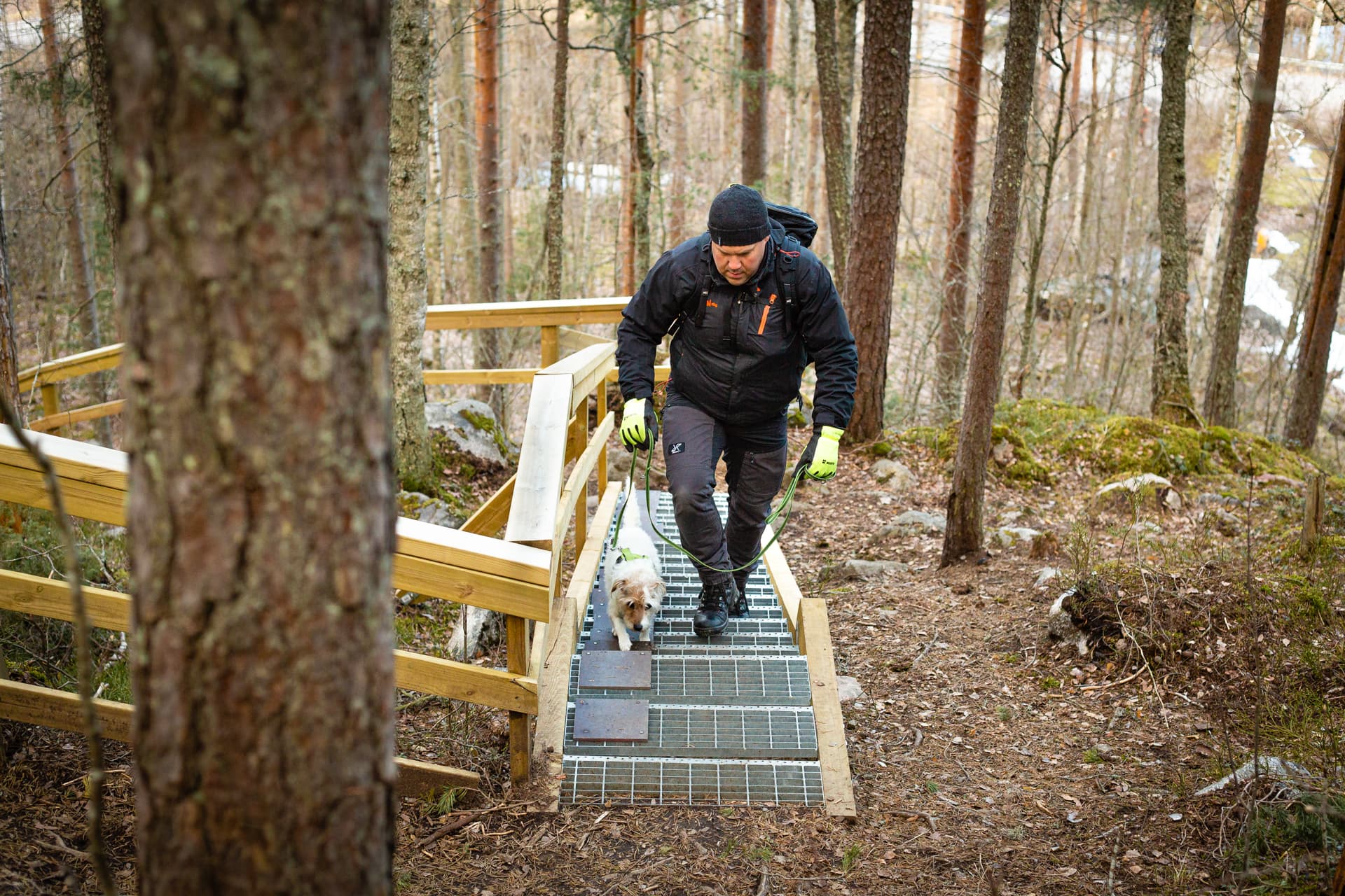 Image: Marika Piilonen Retkeilijä ja koira kiipeävät maastossa olevia teräsportaita.