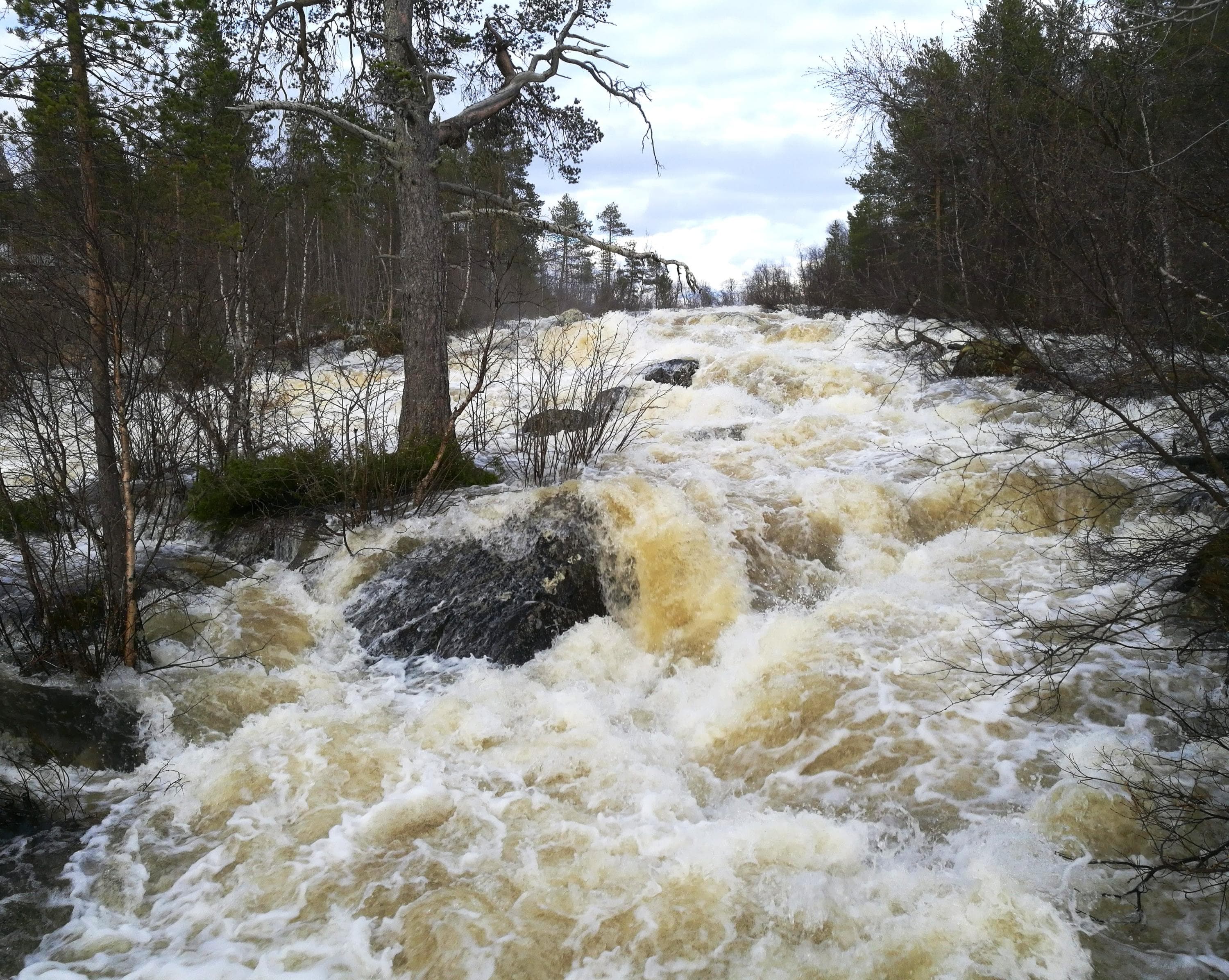 Kuva: Leena Leppälä Joki tulvii kuohuen.
