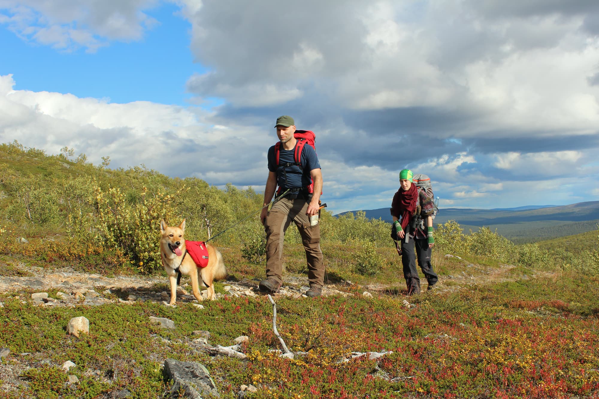 Image: Kirsi Ukkonen Retkeilijät ja koira kävelevät kesällä tunturimaisemassa.
