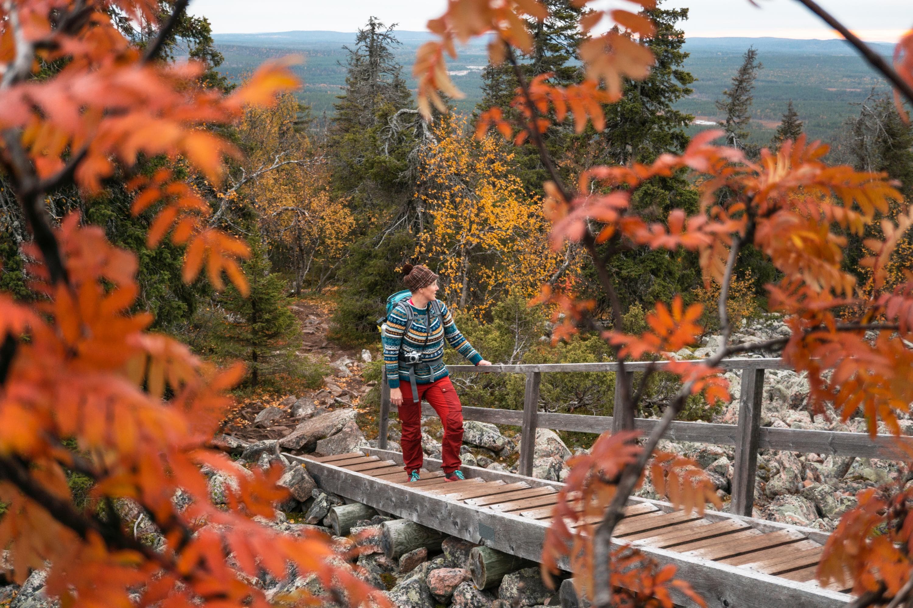 Kuva:  Inga-Maaret Aikioniemi Nainen seisoo portailla. Etualalla on lehtipuunoksia ruskan sävyssä.