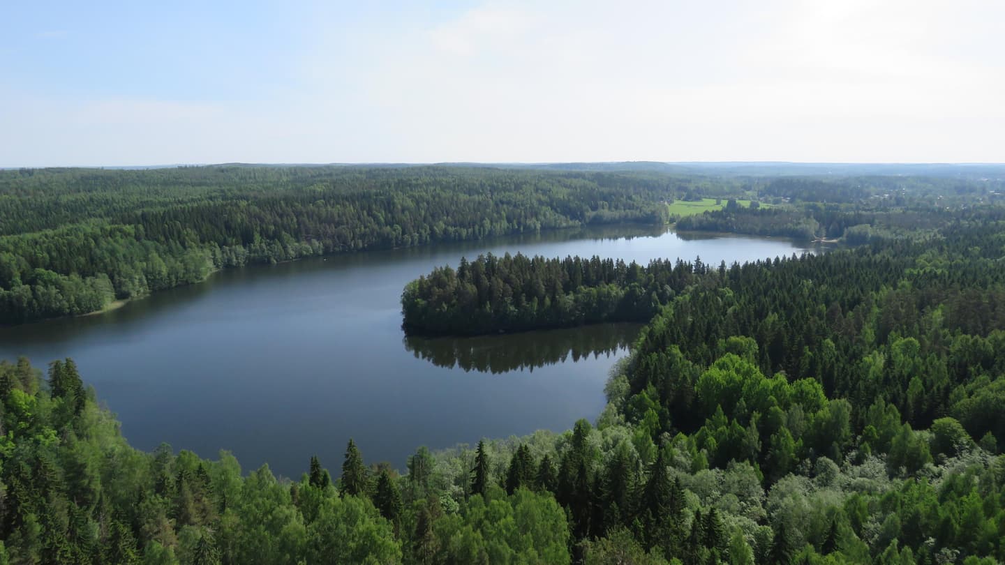 Image: Leena Hiltunen A summer landscape where forests surround a lake.
