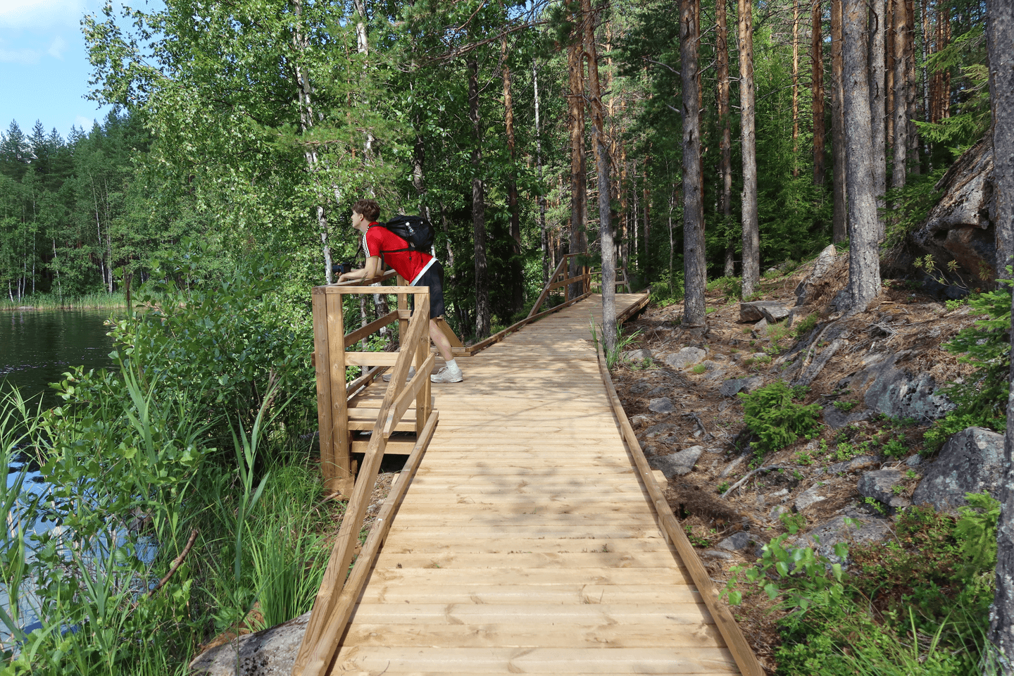 Image: Katja Granskog A hiker leans against the railing of a viewing platform along a wide boardwalk and looks out over the lake. In the background, a summery forest landscape.