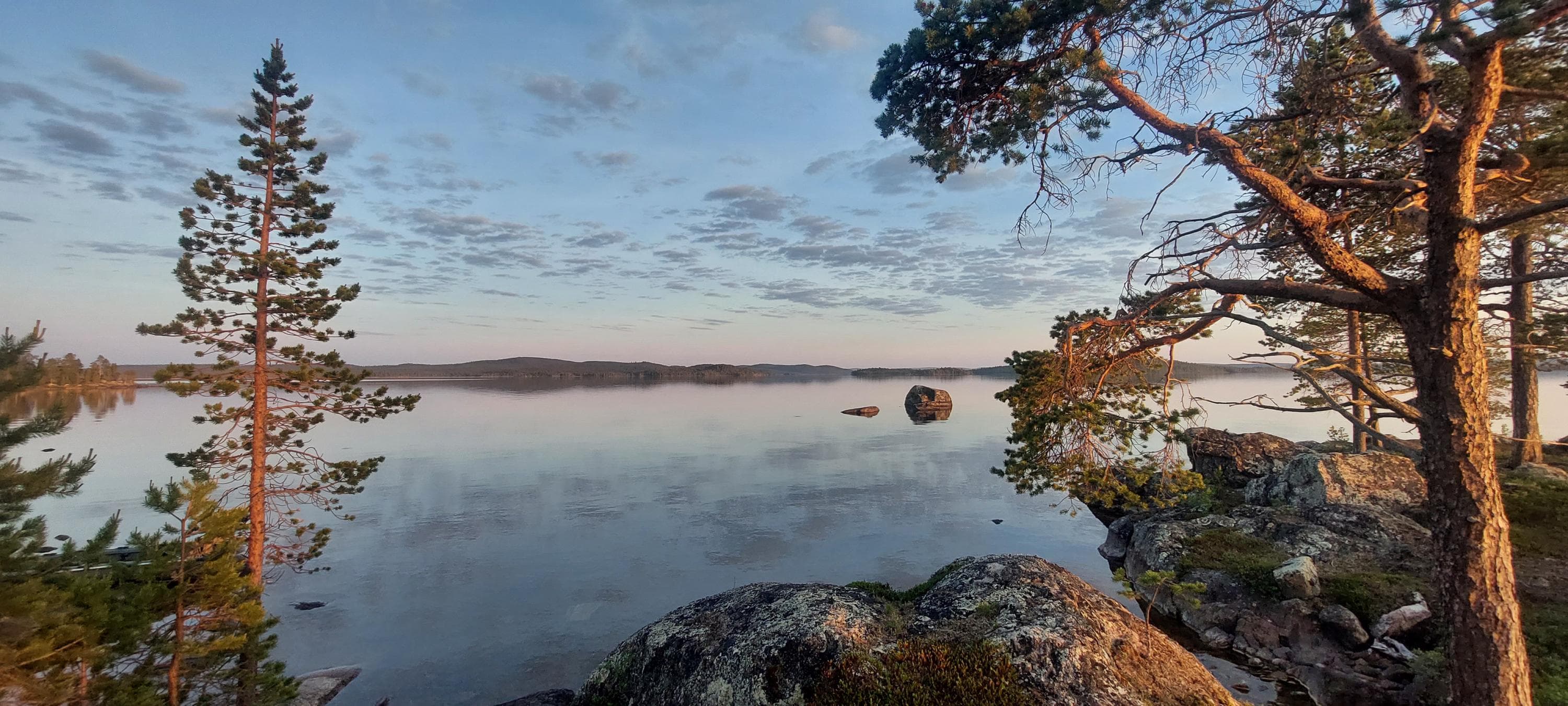 Image: Maria Makkonen "In the foreground by the lake, there are pine trees. The surface of the lake is almost calm. There are thin clouds in the sky.