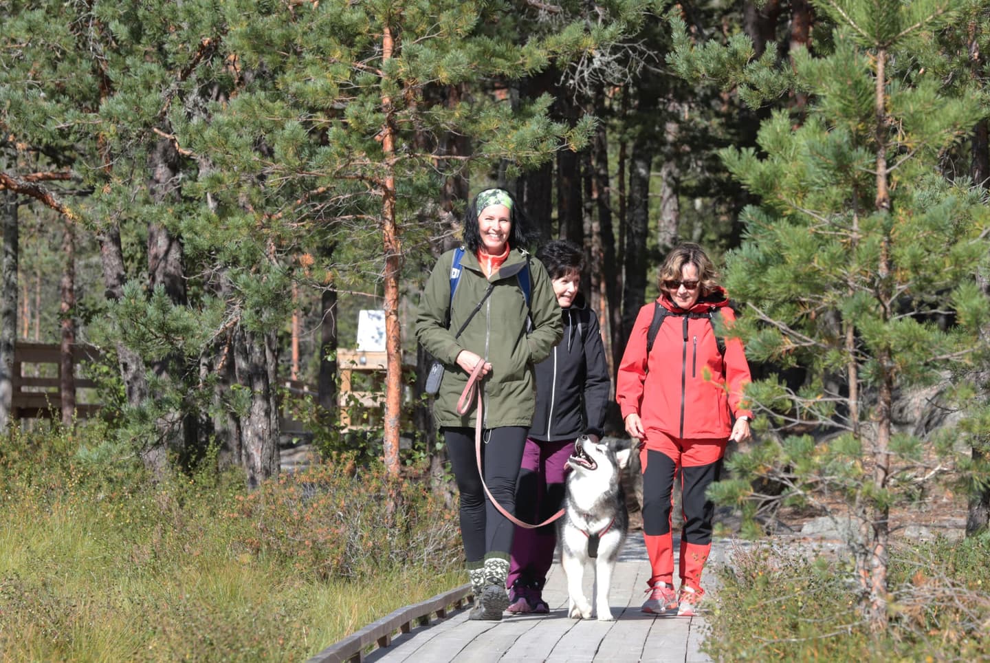 Image: Jari Salonen Hikers on a wide edged boardwalk in summer with a dog.