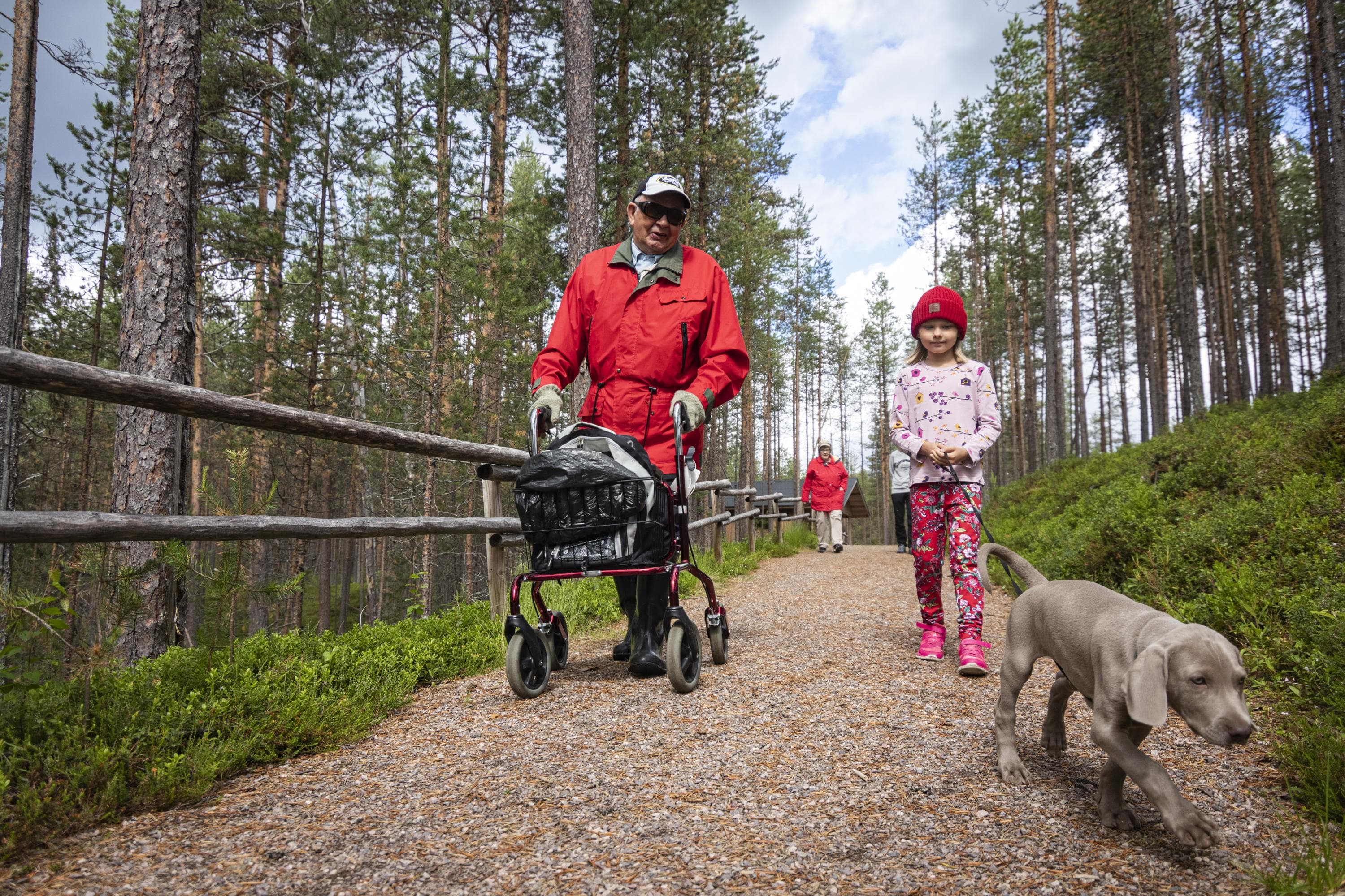 Image: Jonna Kalliomäki An older hiker with a walker and a child leading a dog are walking on a wide gravel path in the pine forest towards the camera. There is a railing beside the path.