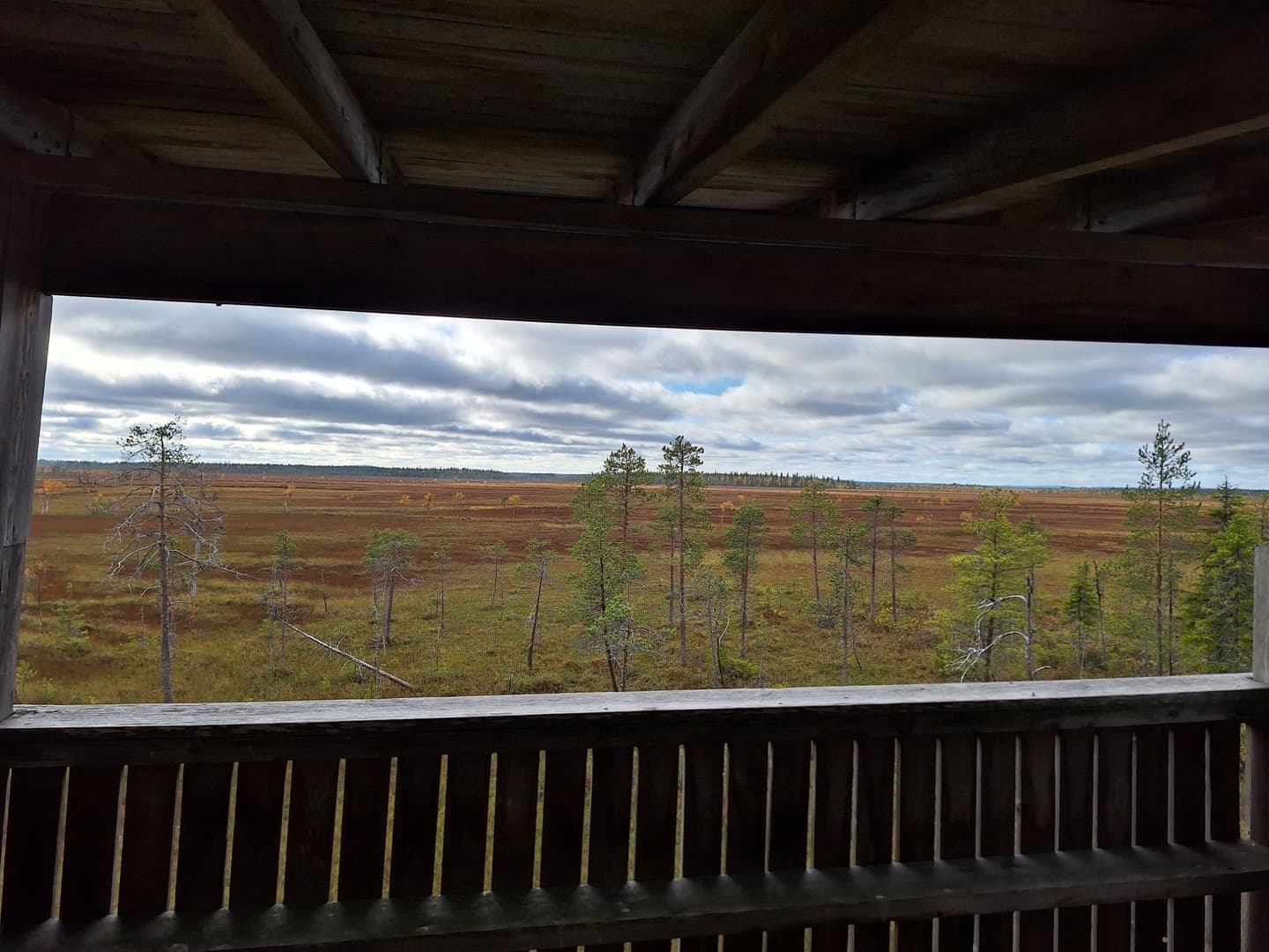 Image: Jarmo Asell The wooden bird watching tower's structures frame the marsh landscape visible from the viewing opening.