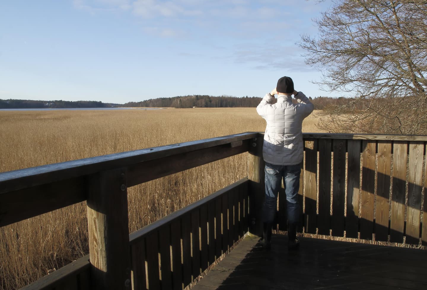 Image: Jussi Helimäki / Espoon kaupunki A hiker is looking at the bay from the birdwatching tower.