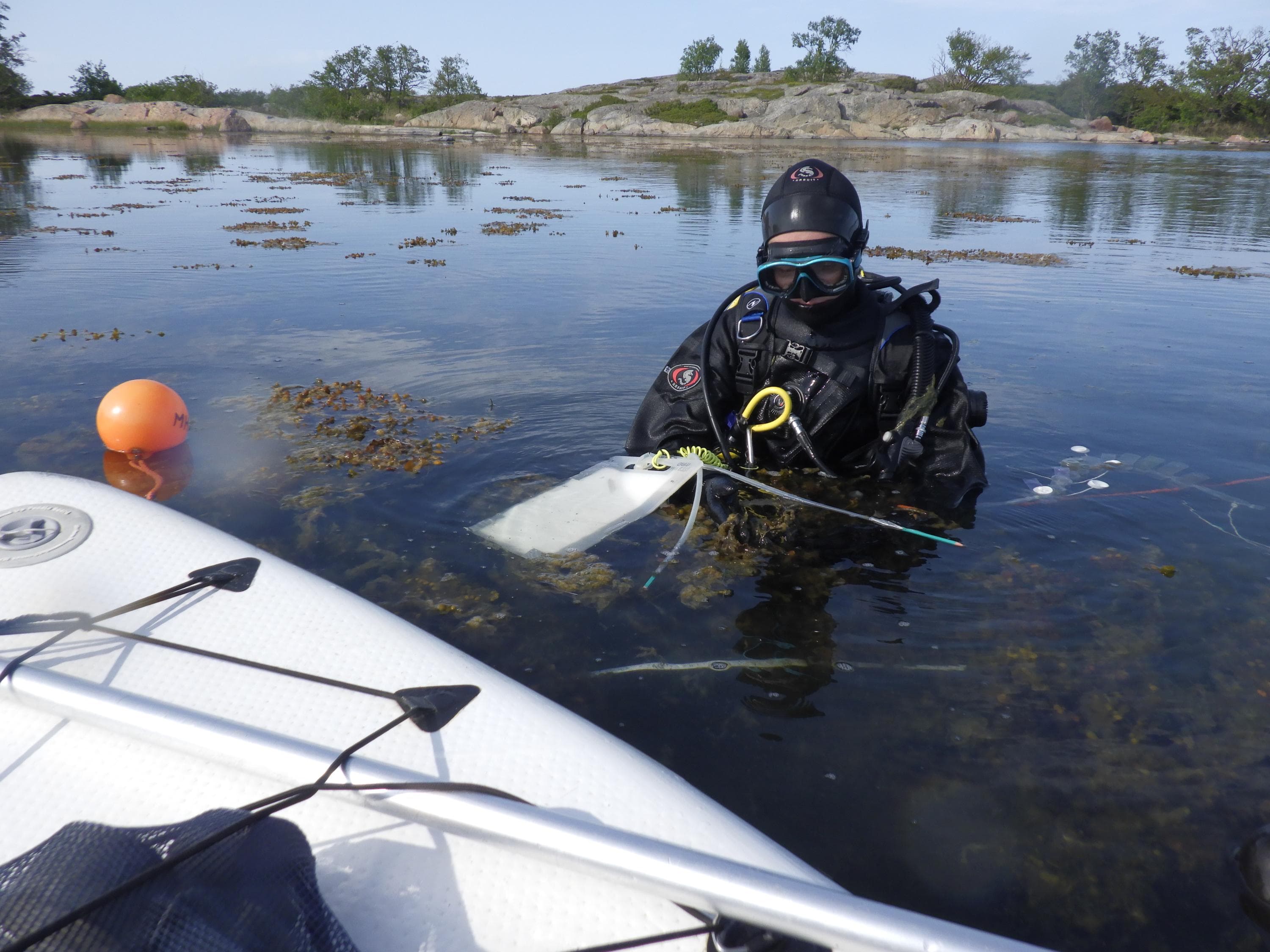 Sukeltaja lukee tutkimuslaitetta veneen vierellä vedessä.