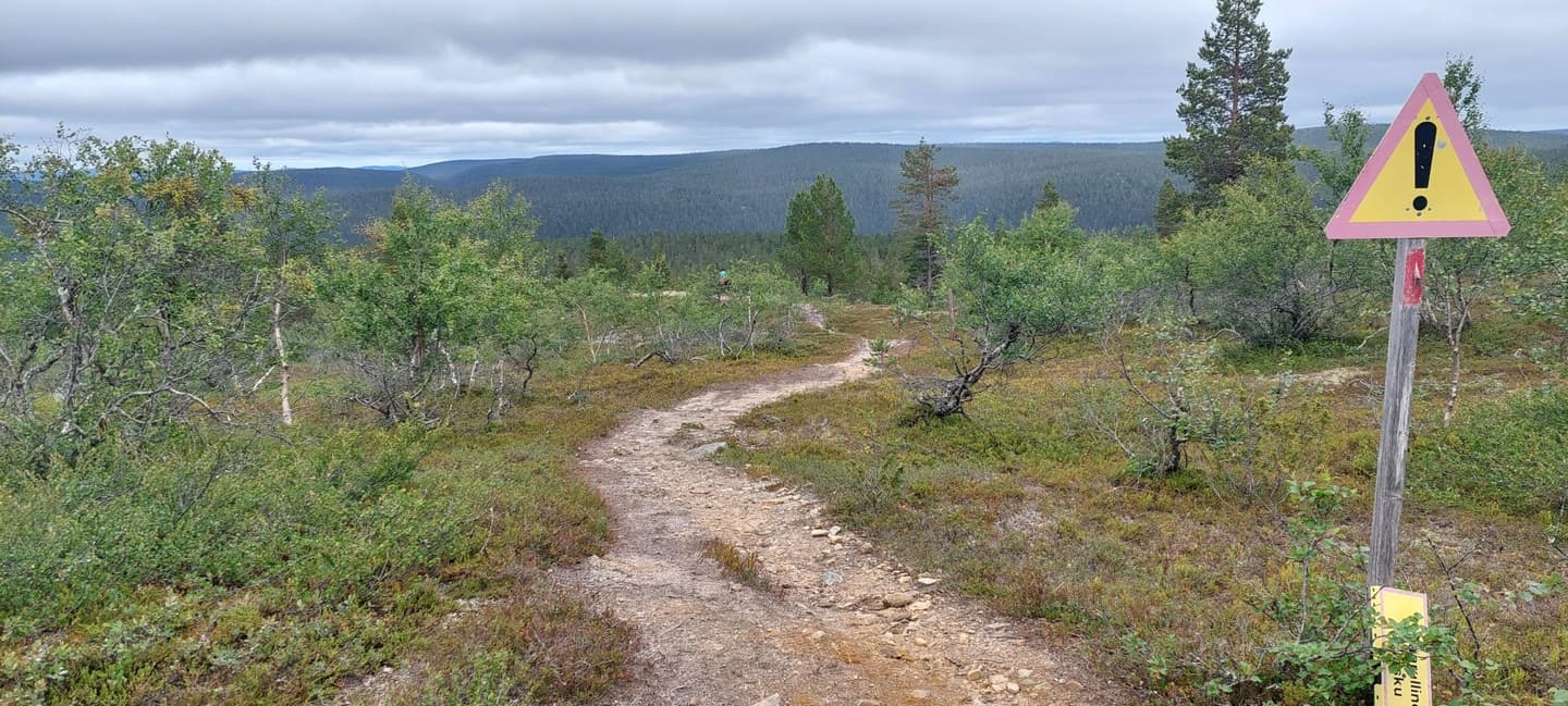 Bild: Marja Männistö Stigen slingrar sig nedåt mellan tallar och fjällbjörkar.