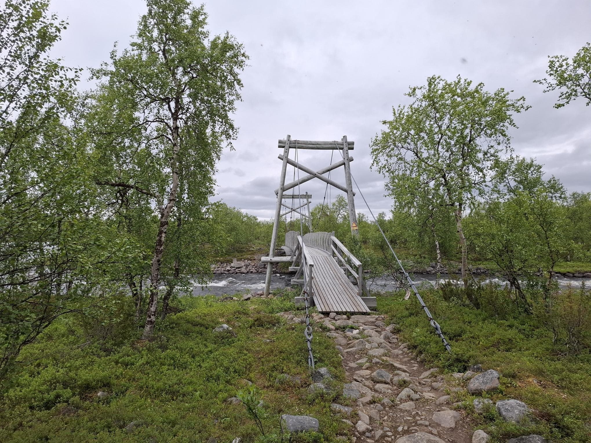 Bild: Johannes Marjamäki Vid den stadiga hängbron växer fjällbjörkar. Himlen är molnig.
