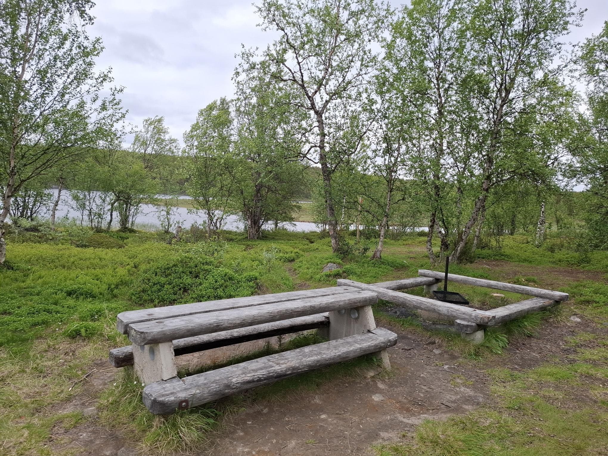 Bild: Johannes Marjamäki Vid sjön, bredvid eldstaden, finns ett bord och bänkar. Fjällbjörkar växer längs sjökanten.