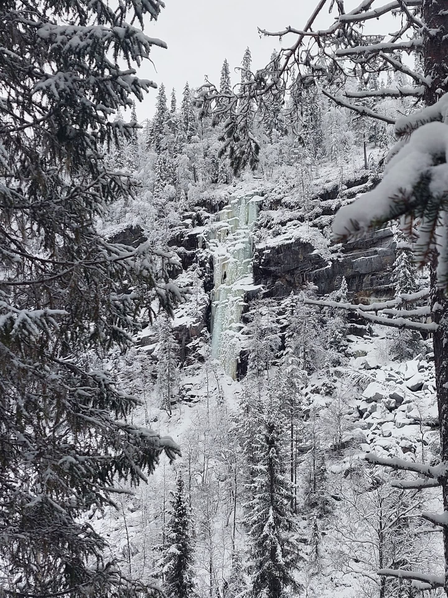 Image: Pekka Veteläinen A snowy forest landscape with a frozen waterfall in the center. The trees and cliff are covered in snow, and the waterfall forms an icy stream along the rock face.