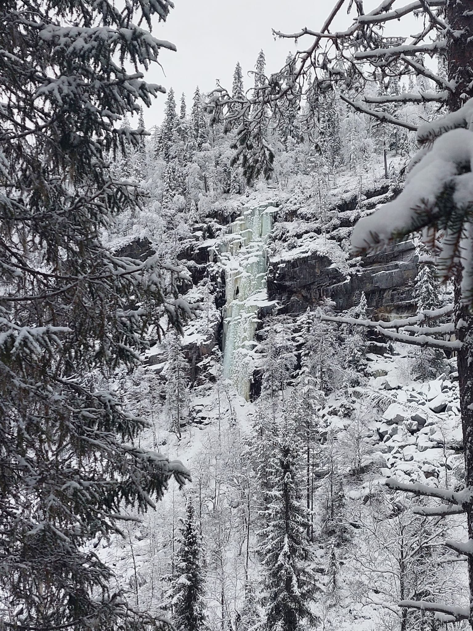Bild: Pekka Veteläinen Ett snötäckt skogslandskap med ett fruset vattenfall i mitten. Träden och klippan är täckta av snö, och vattenfallet bildar en isig ström längs klippväggen.