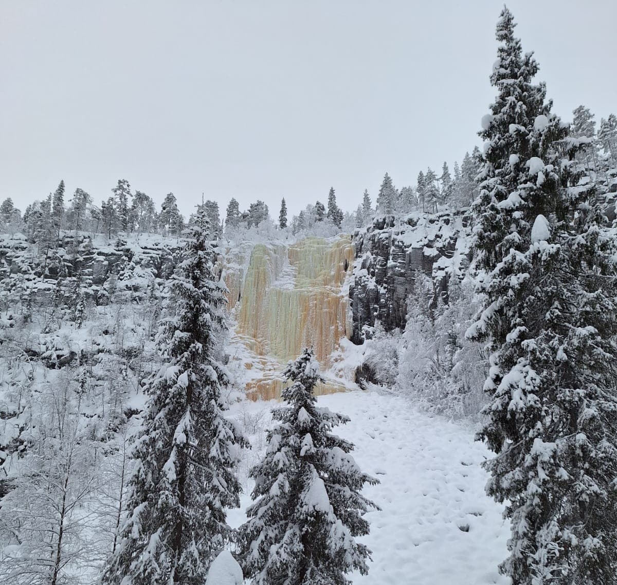 Bild: Airi Kallunki Ett fruset vattenfall med brunaktig is, omgivet av en snötäckt skog.