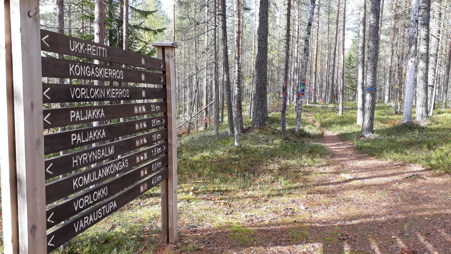 Kuva: Paula Aspholm Ruskeapohjainen puinen reittiopaste näyttää suunnan useille eri kohteille. Polkua reunustavissa puissa on reittimerkintöjä useilla eri väreillä.