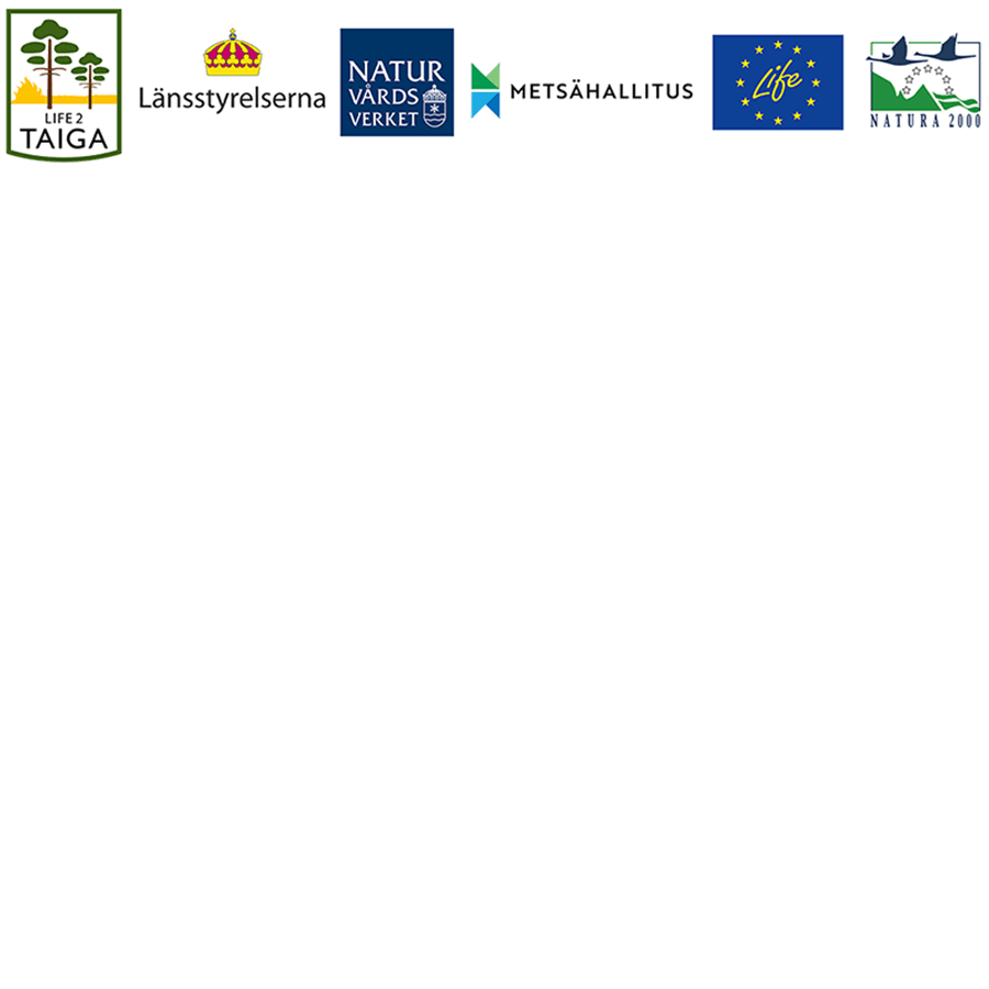 Life2Taiga-, Länsstyrelserna-, Naturvårdsverket-, Metsähallitus-, Life- ja Natura 2000 -tunnukset.