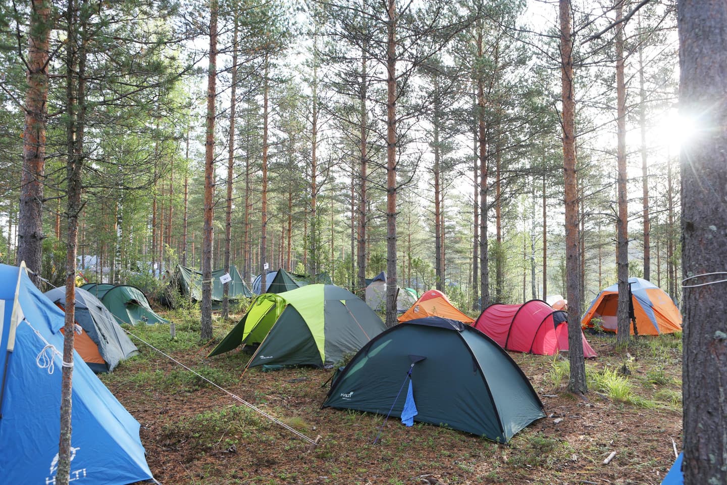 Image: Mari Lehtisalo A forested area with several colorful tents among the trees.