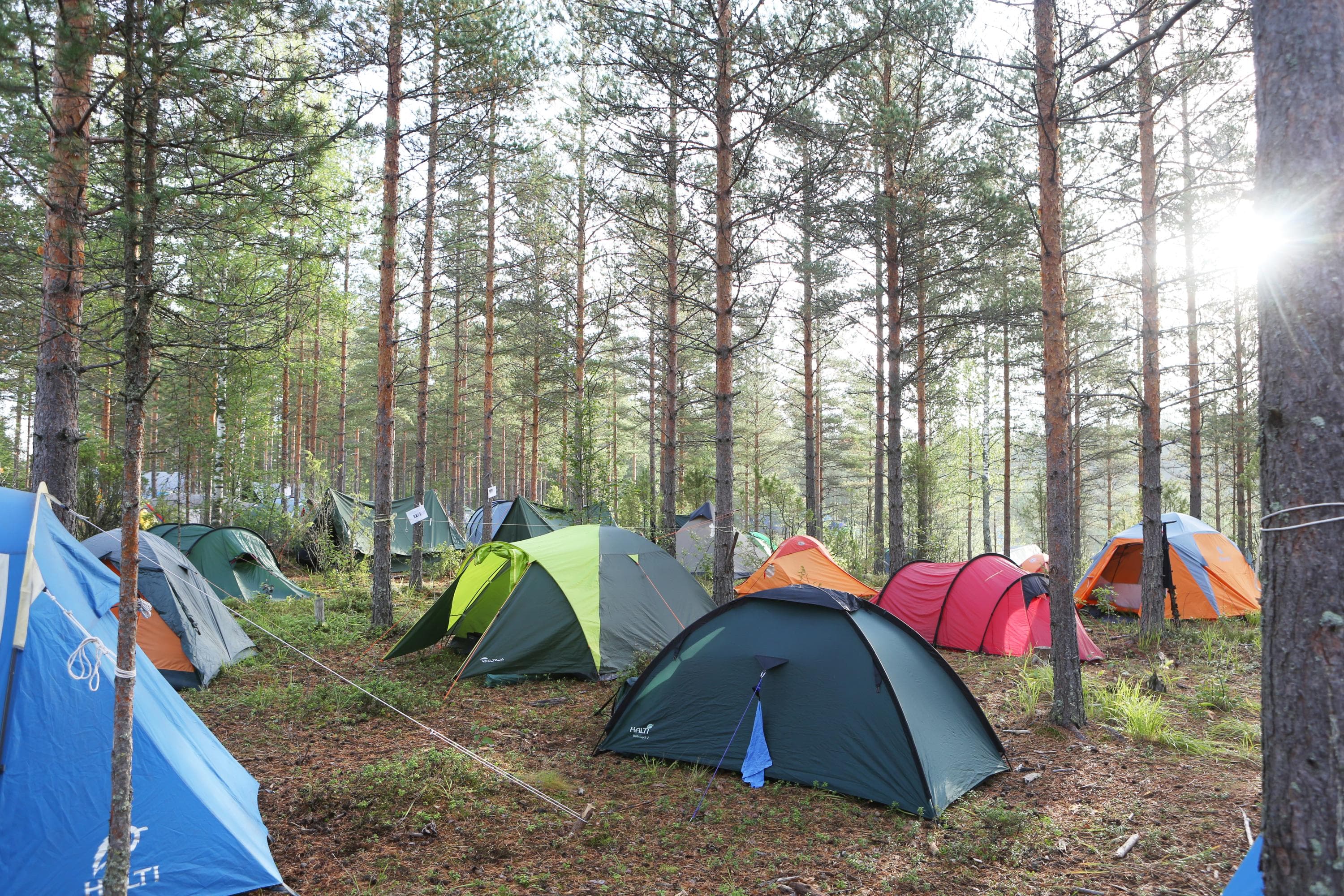 Kuva: Mari Lehtisalo Metsäinen alue, jossa on useita värikkäitä telttoja puiden lomassa.