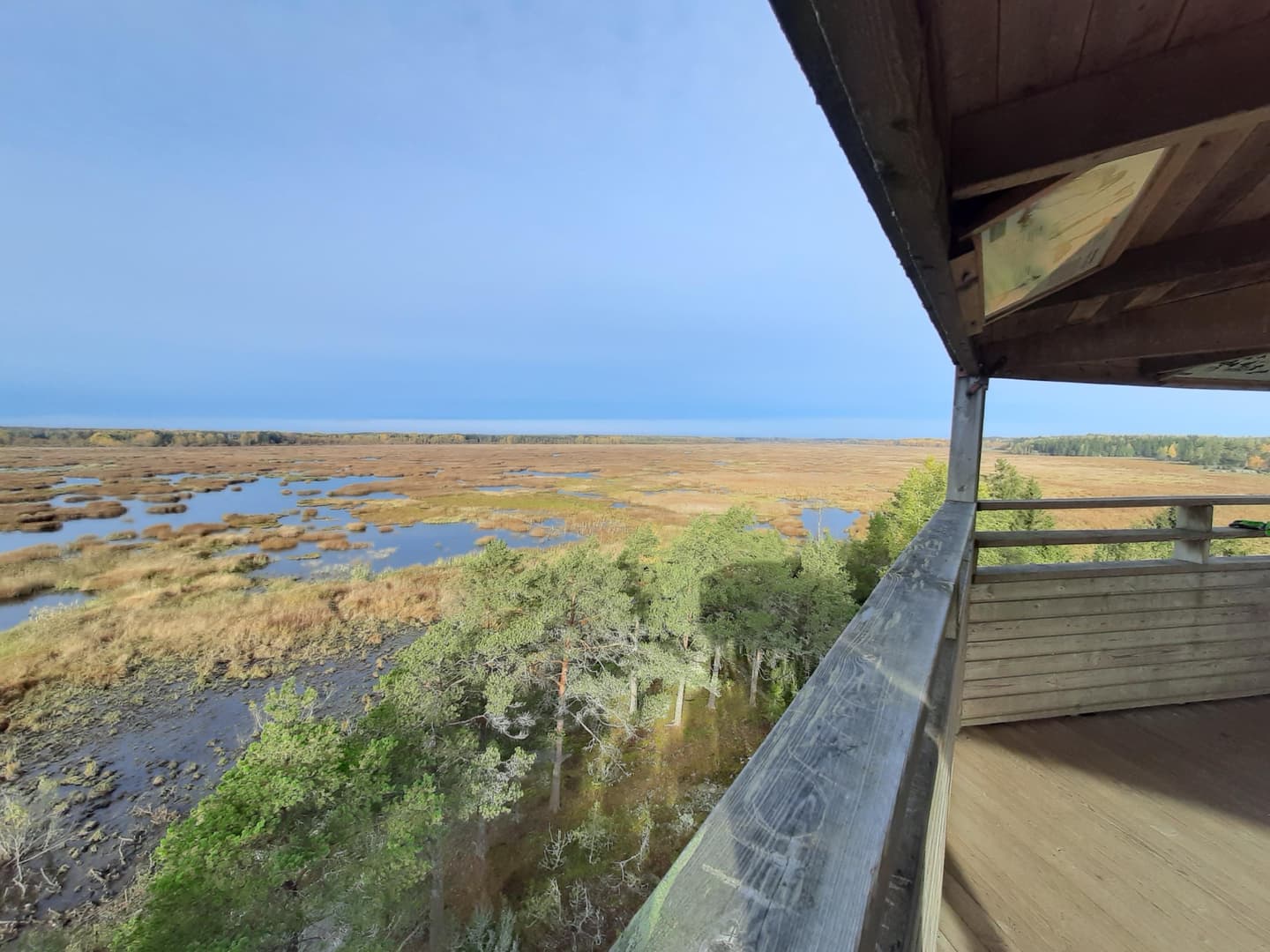 Image: Marjo Kekki A photo taken from the top of a birdwatching tower, showing an open landscape over the mire.