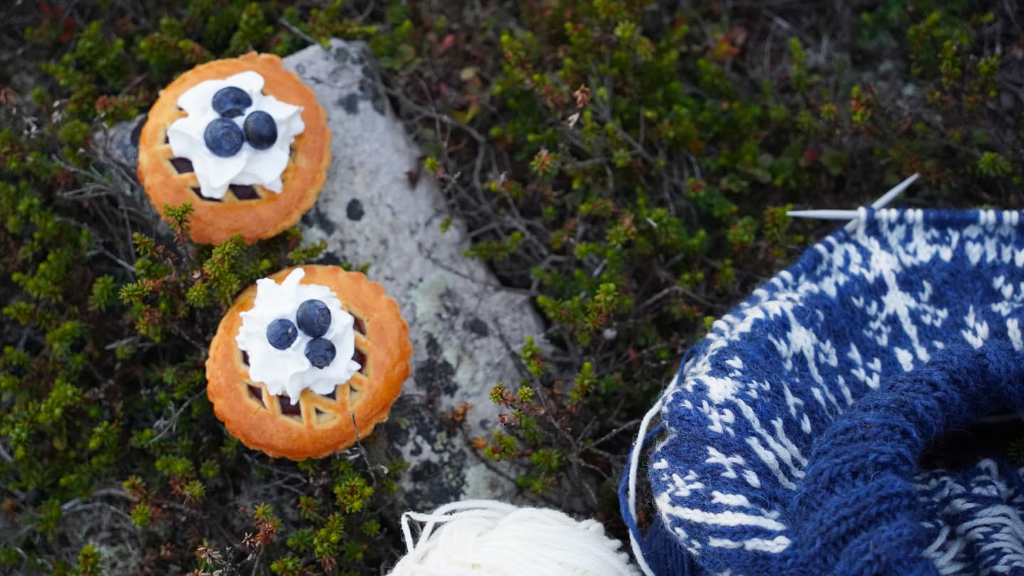 Image: Aino Jylhänlehto In the ground, two small round blueberry pies decorated with whipped cream and blueberries, and a colourwork knitting project on circular needles next to a white ball of yarn.