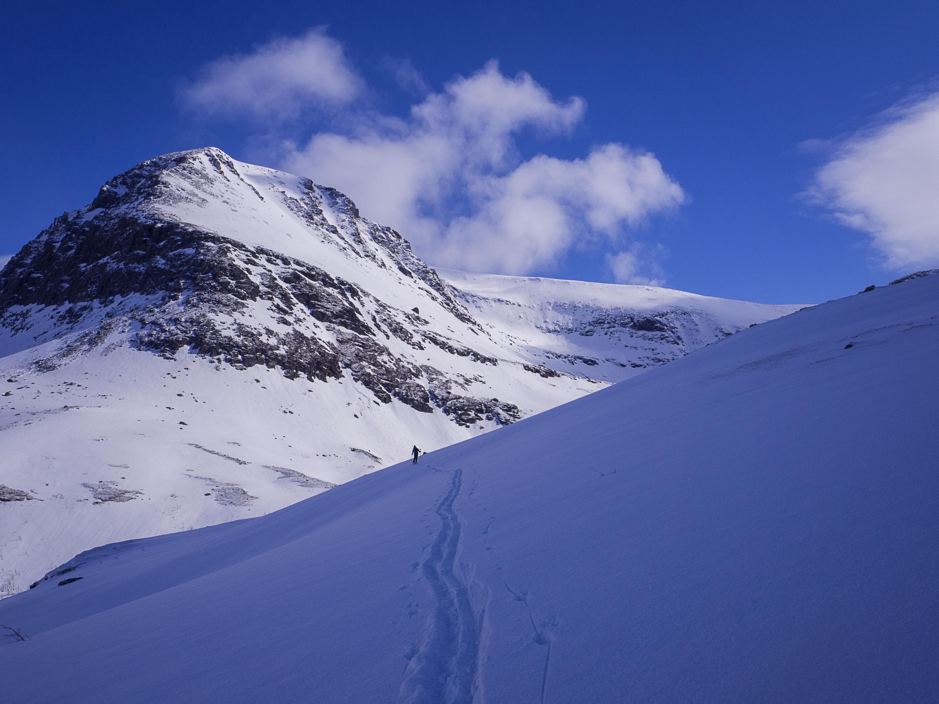 Kuva: Anna Pakkanen Hiihtäjä tunturimaastossa.