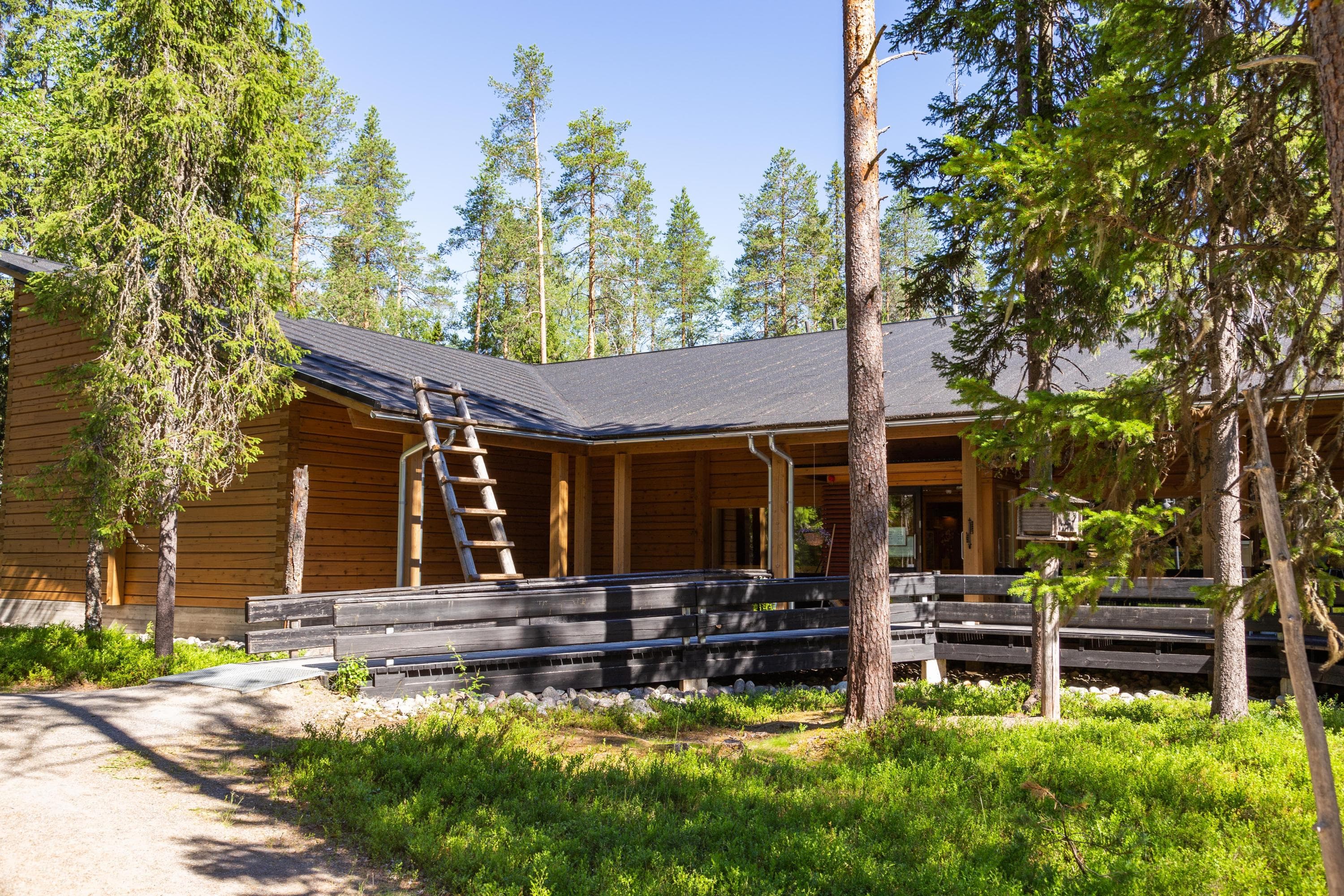 Kuva:  Flycam Oy Hirsirakennus sijaitsee havumetsässä.