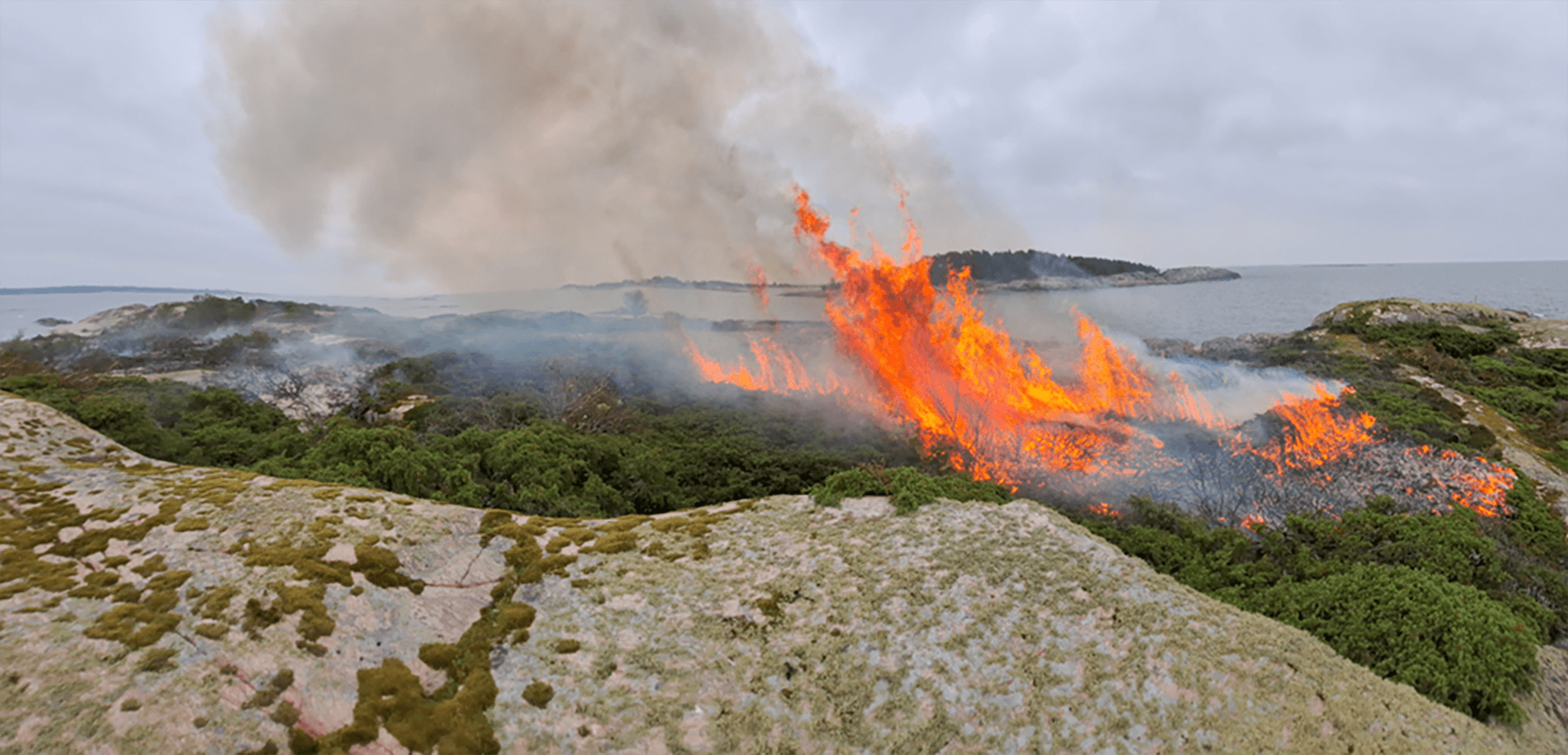 Kuva: Esko Tainio Meren rannalla olevaa pusikkoa poltetaan.