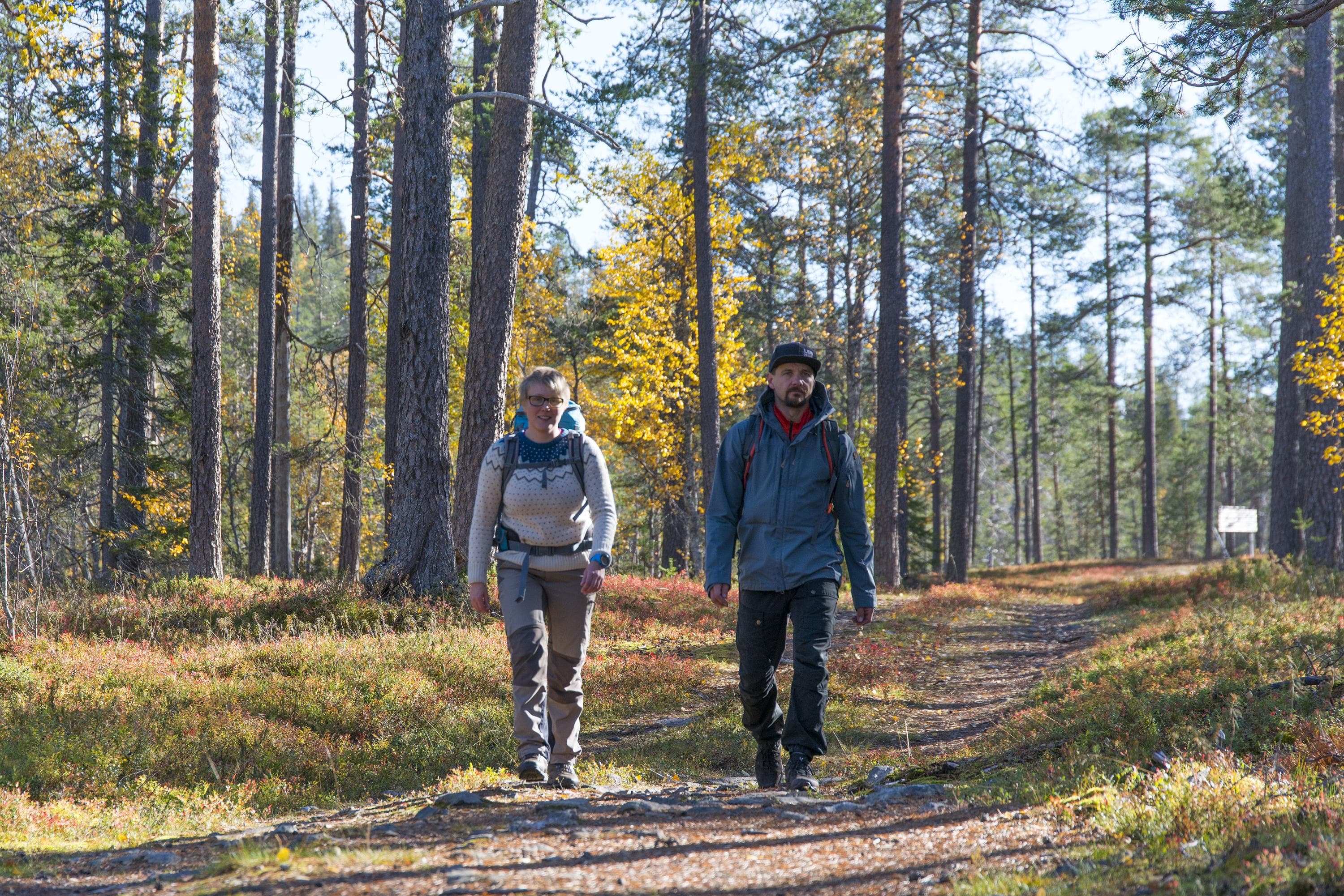 Kaksi retkeilijää reput selässä polulla syksyllä ruska-aikana.