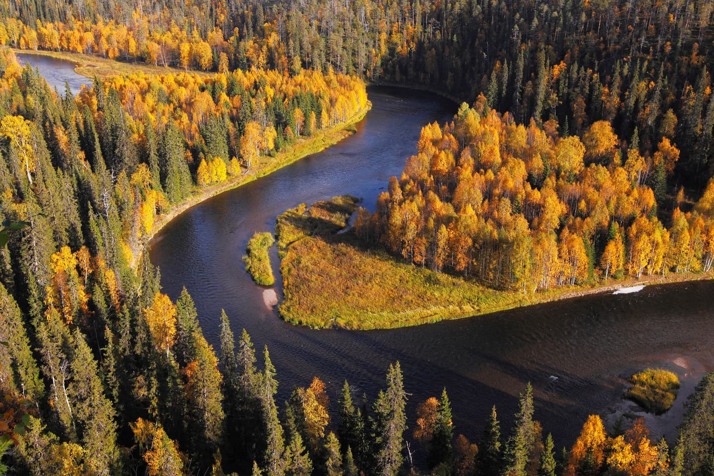 Image: Ismo Pekkarinen An aerial photo of a calmly flowing river. On both banks, deciduous trees are adorned with autumn colors.