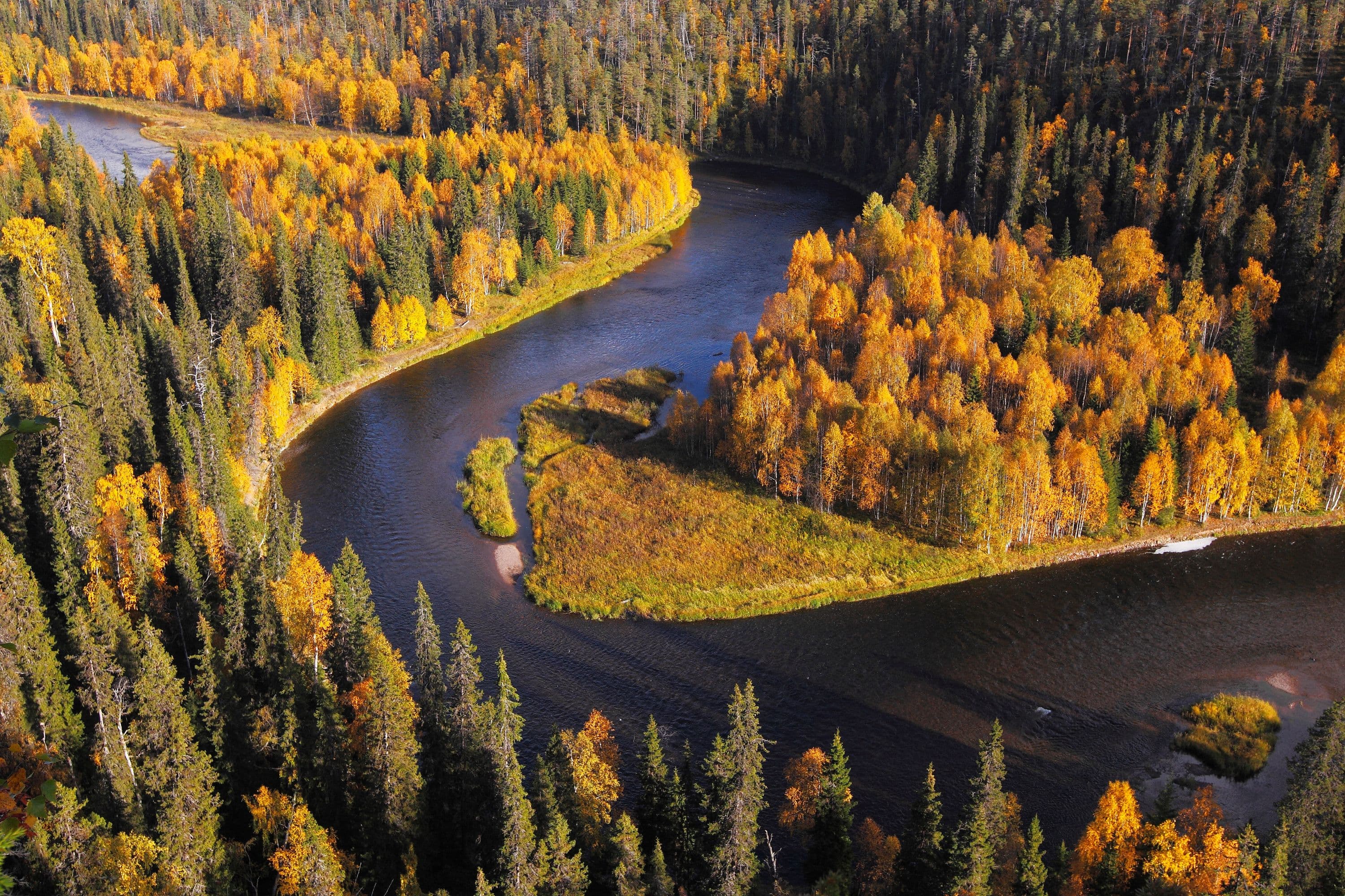 Bild: Ismo Pekkarinen Ett flygfoto av en lugnt flytande flod. På båda stränderna står lövträd klädda i höstens färger.