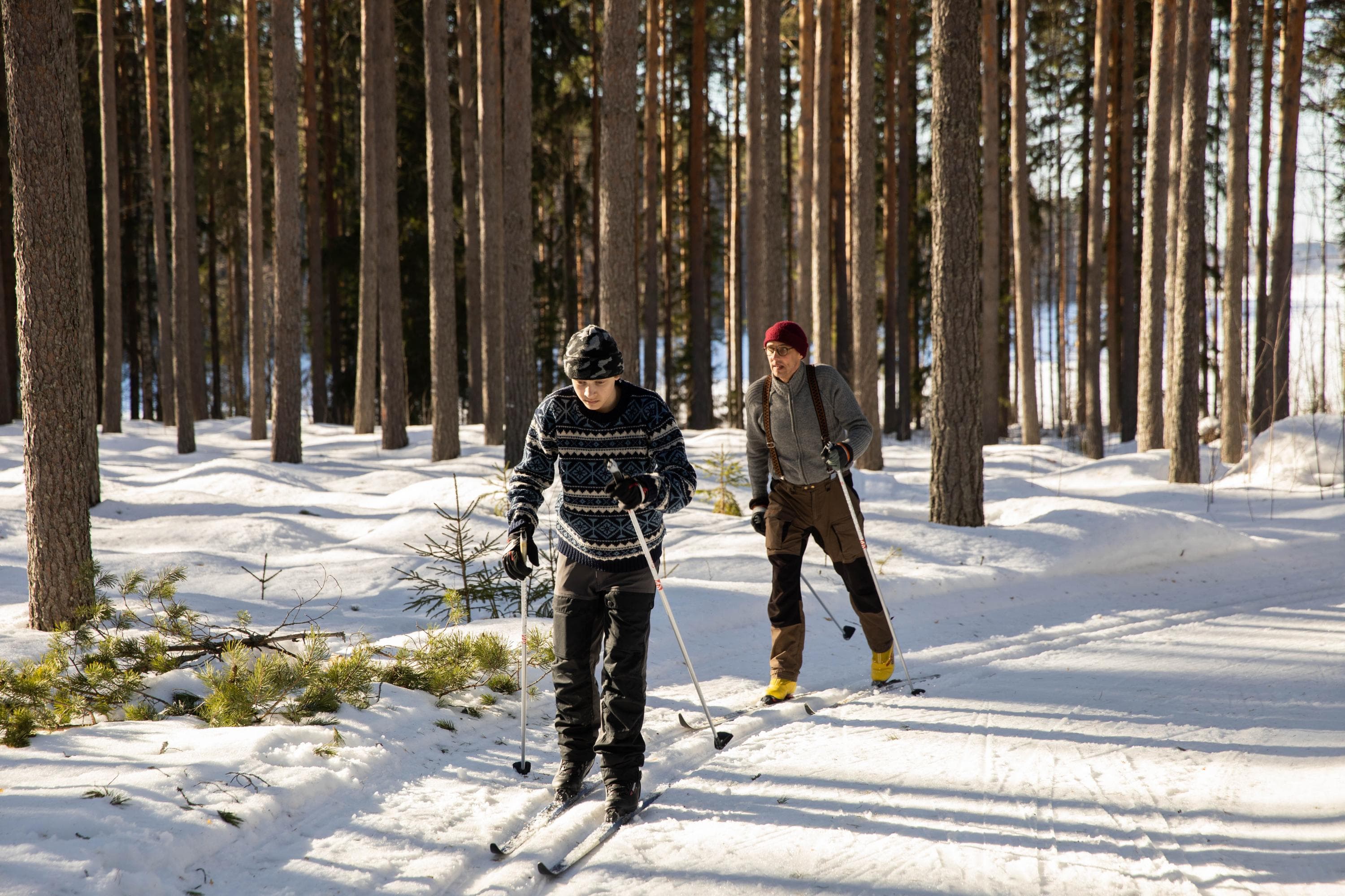 Bild: Saara Lavi. Två skidåkare färdas längs ett spår som går genom tallskogen. Det är en solig dag.