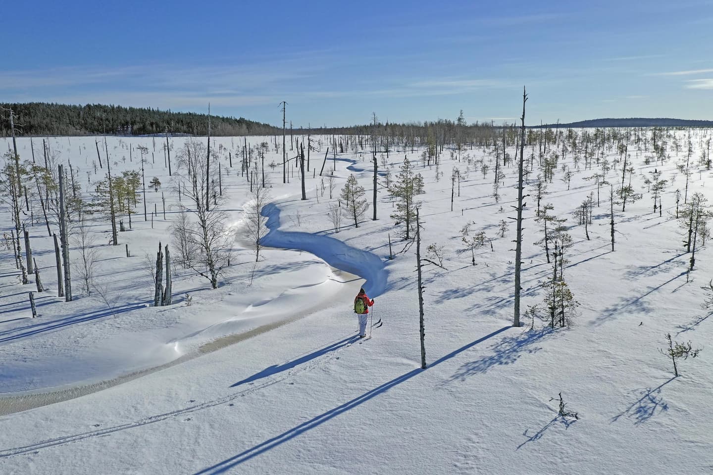 Image: Ismo Pekkarinen A cross-country skier on a snow-covered swamp.