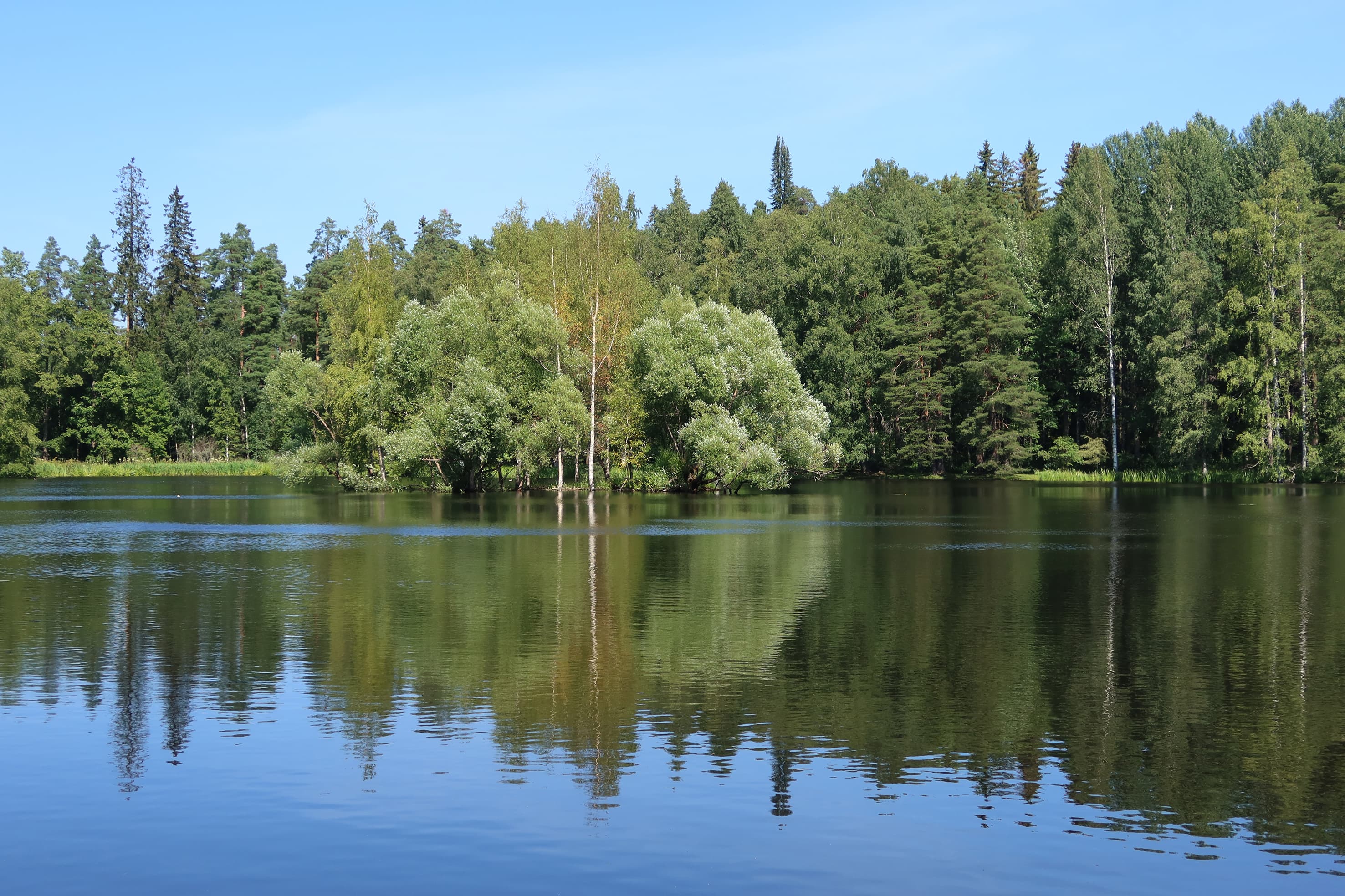 Kuva: Katja Granskog Peilityyni lampi, jossa on pieni saari ja rannoilla metsää.