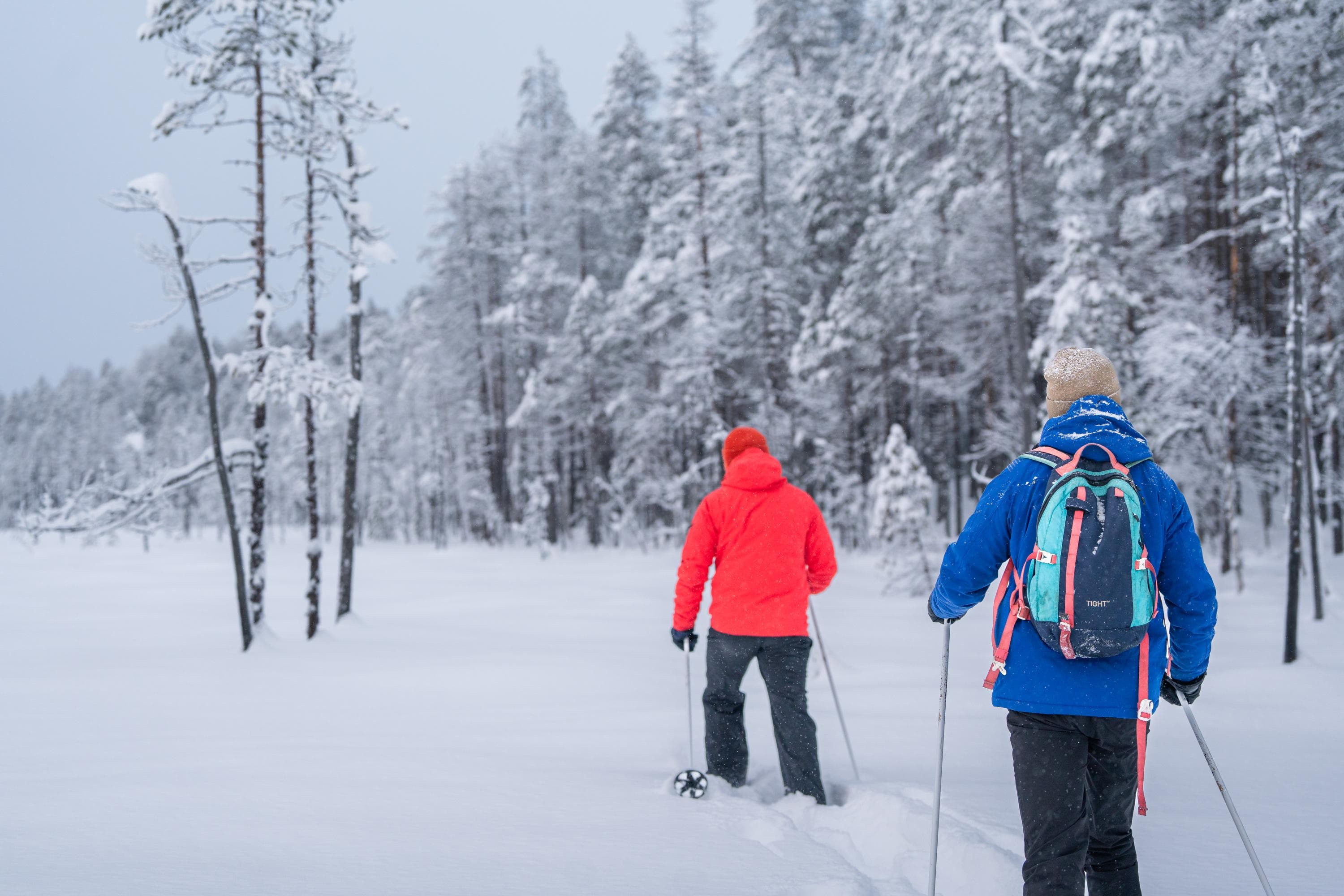 Image: Mitja Piipponen Kaksi lumikenkäilijää kävelemässä suon laidassa.