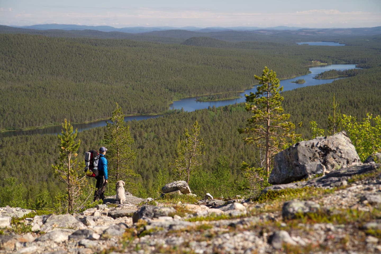 Kuva: Erkki Ollila Retkeilijä ja koira katsovat ylhäältä alla avautuvaa jokimaisemaa.