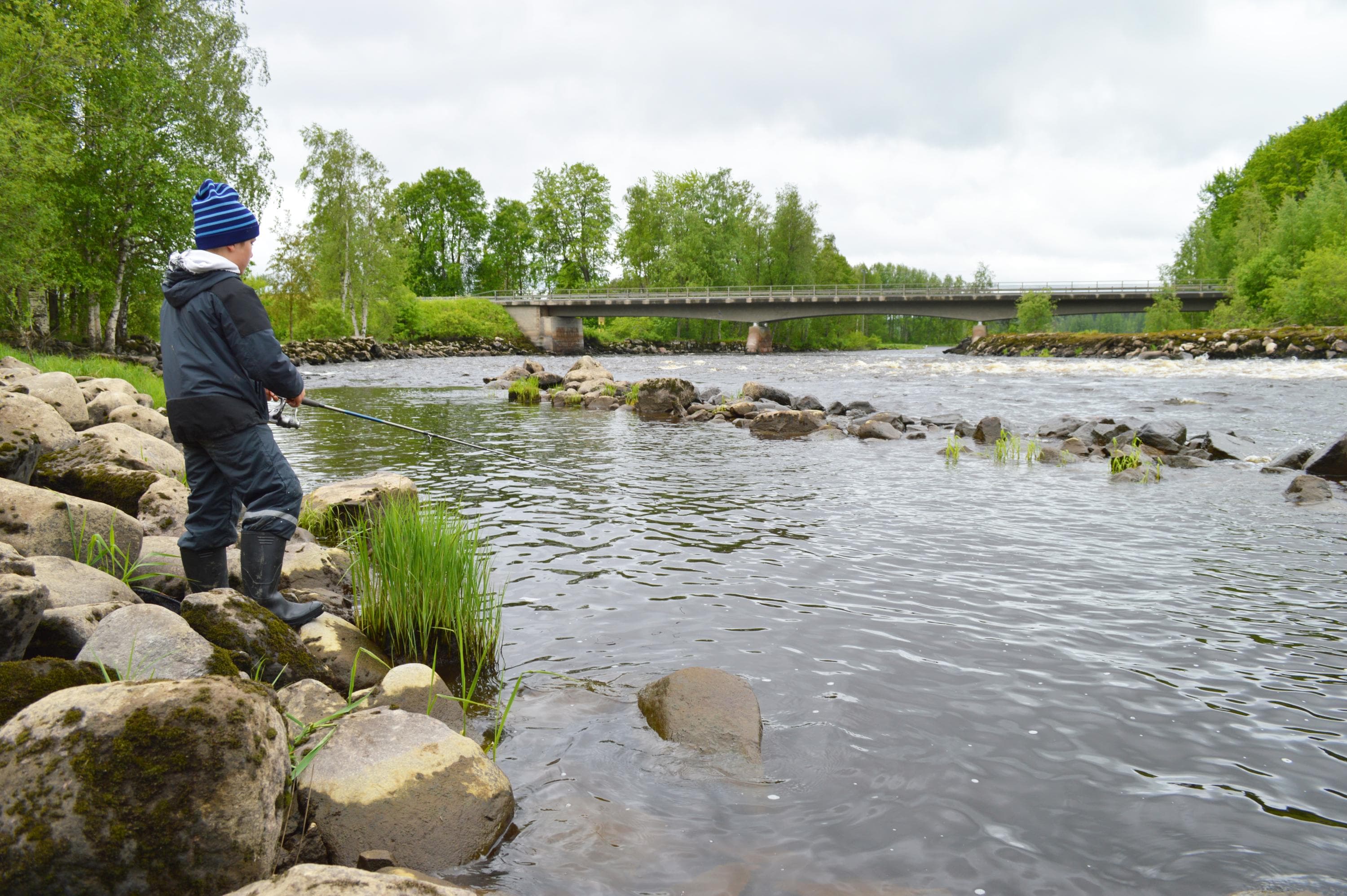 Kuva: Janne Narkiniemi Nuori kalastaja kosken rannalla kalastamassa.