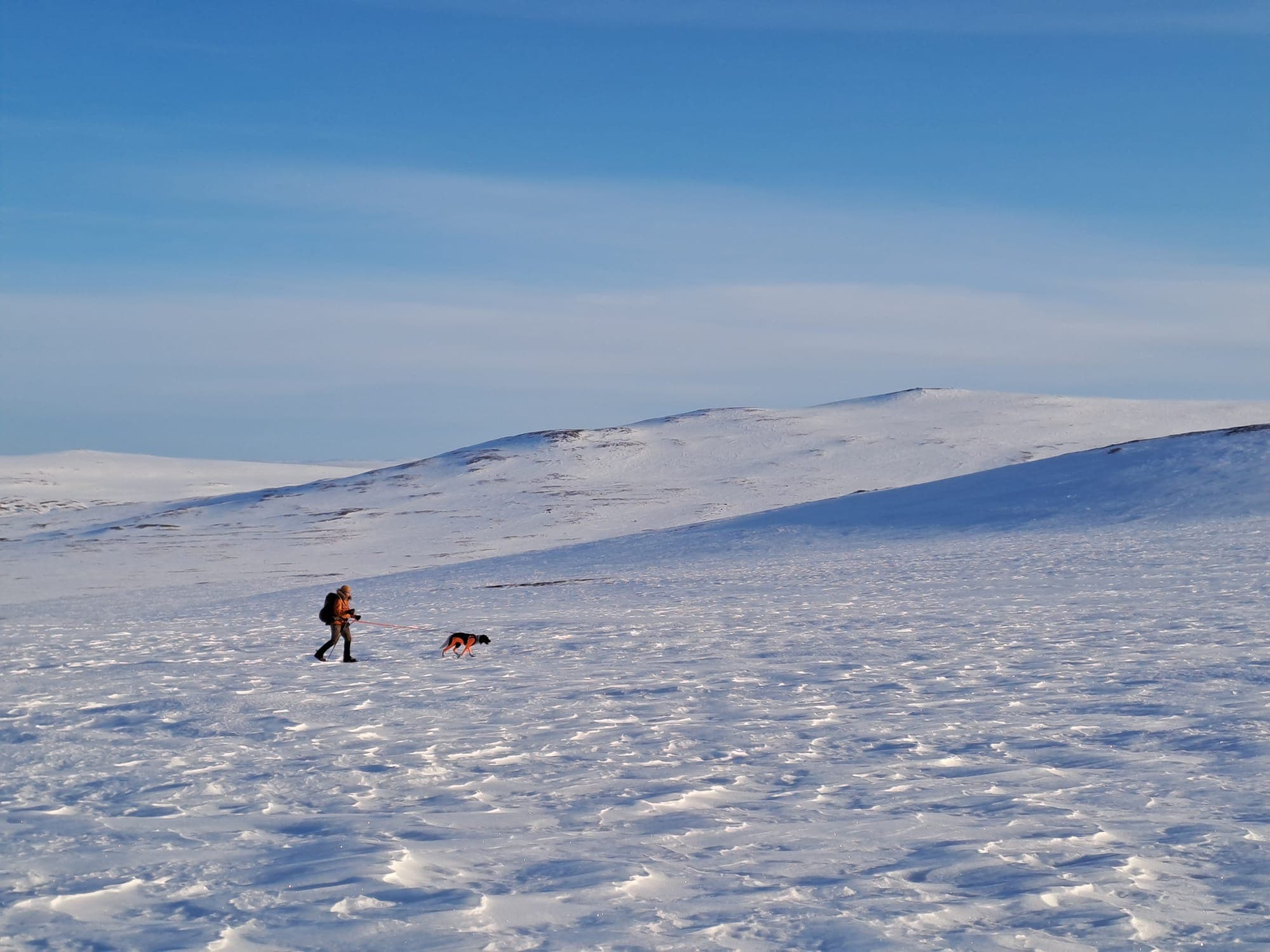 Bild: Pasi Hurttila Vandraren åker skidor med en hund på fjällplatån i kvällssolen.