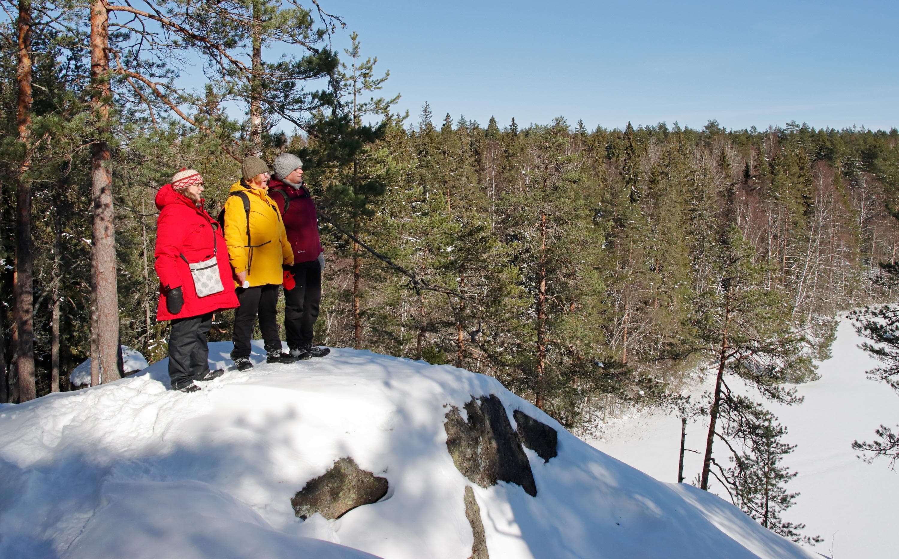 Kuva: Jussi Helimäki Kolme henkilöä lumisella korkealla kalliolla, taustalla metsää.