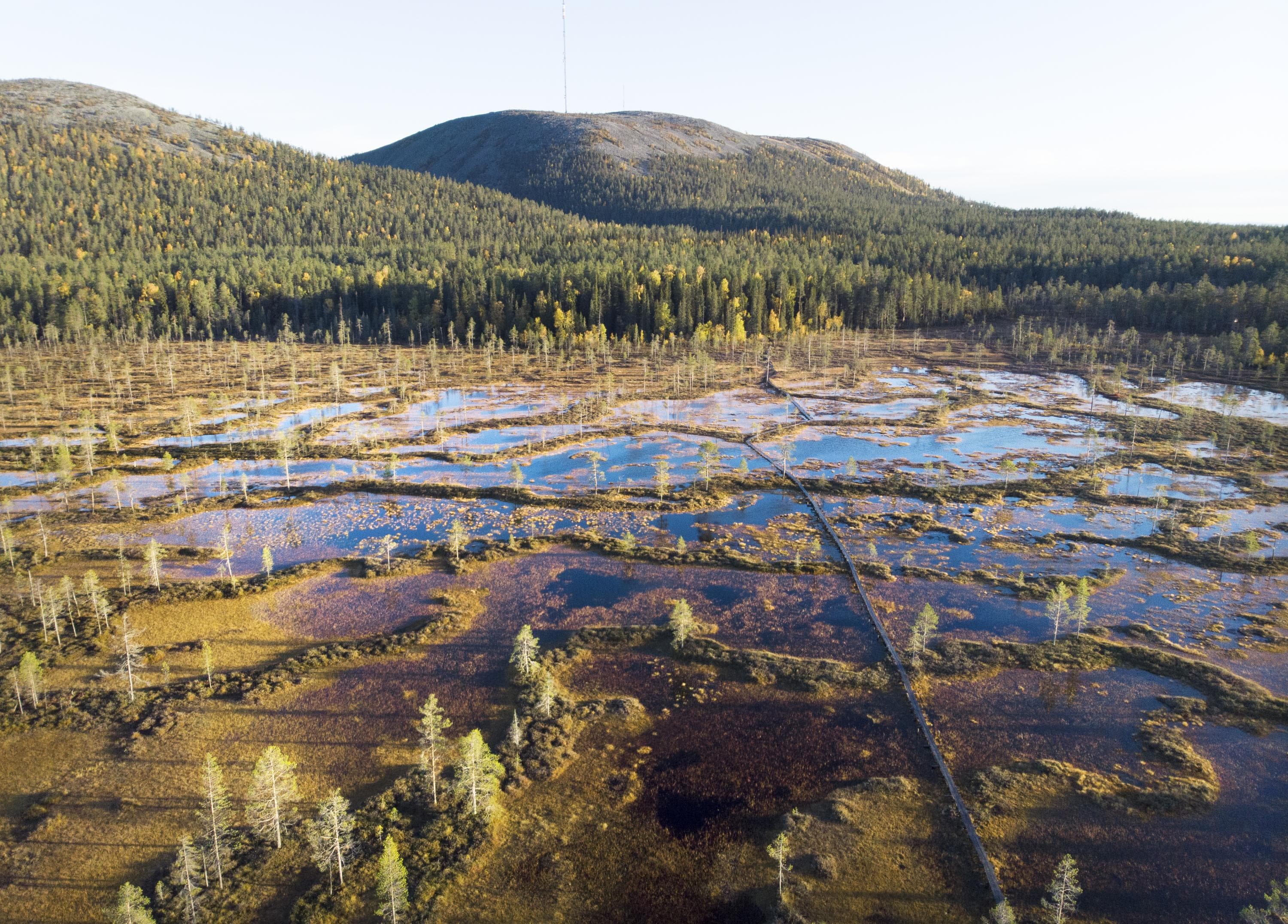 Kuva: Tea Karvinen Taivas heijastelee aapasuon vetisestä pinnasta, jota halkovat pitkospuut. Taustalla näkyy tuntureita.