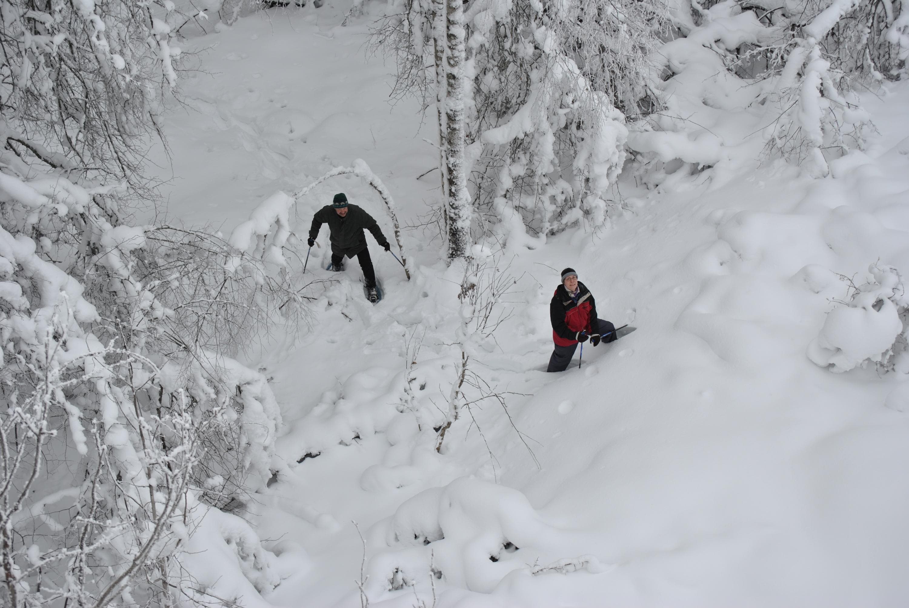 Kuva: Jere Rauhala Ihmisiä lumessa puiden keskellä.