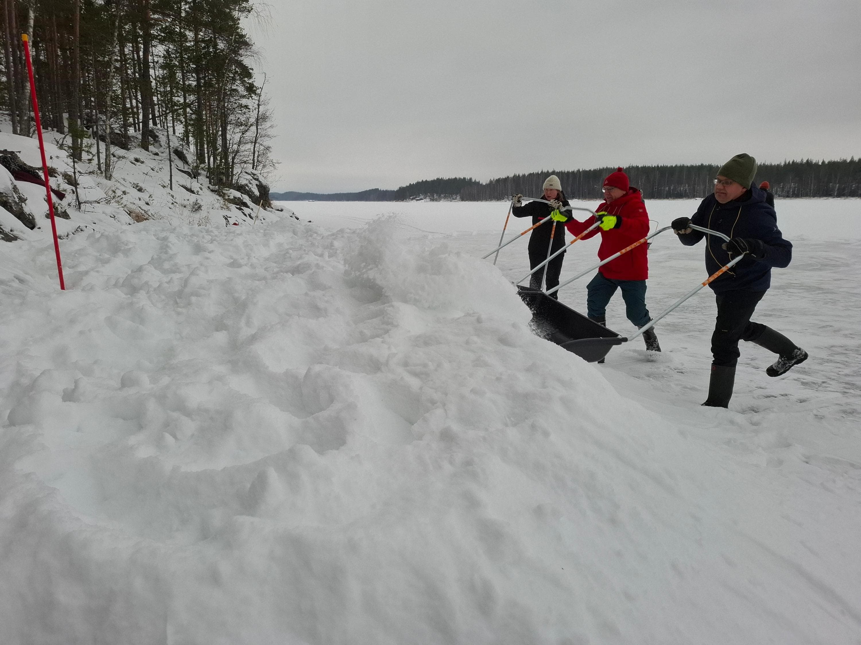Kuva: Riikka Alakoski Kolme kolaa kinosta järvenselältä päin saaren rantaan.