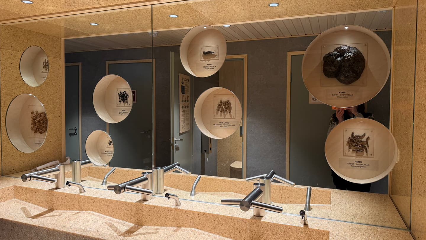 Image: Heta Kylmämaa In the mirror wall next to the washbasin there are openings displaying droppings from animals and birds. The mirror reflects the doors of the toilet cubicles.