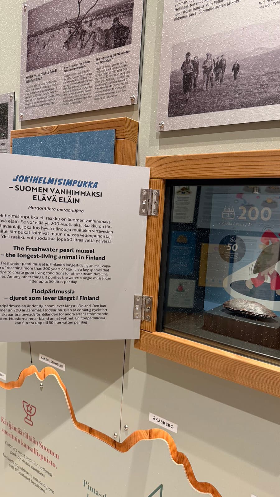Image: Heta Kylmämaa One of the exhibition’s openable panels is open. The panel door contains information about the freshwater pearl mussel, and behind the glass a mussel is displayed.