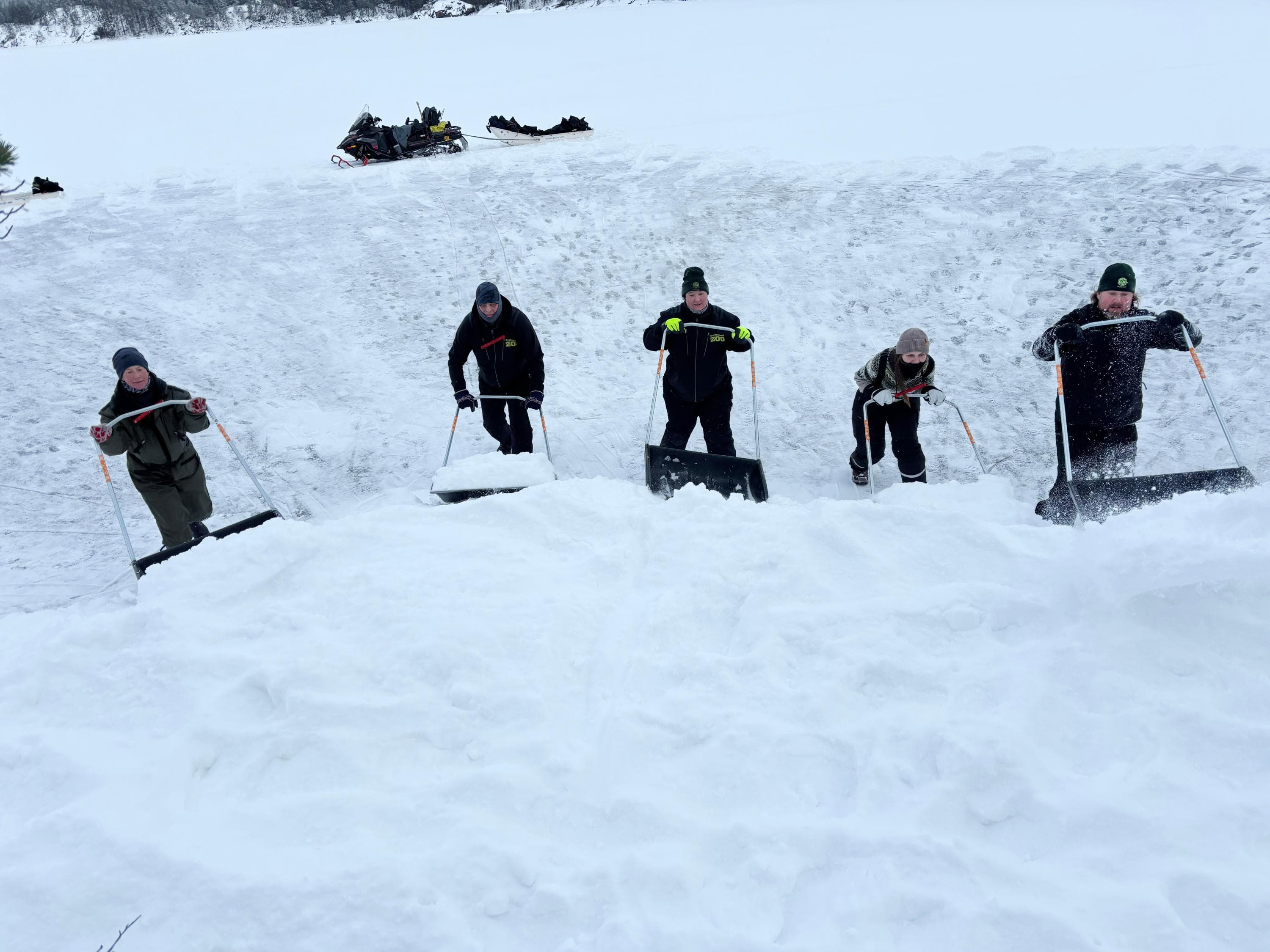 Kuva: Riikka Alakoski Kolaajia tuomassa järven jäällä lunta kohti kinosta.