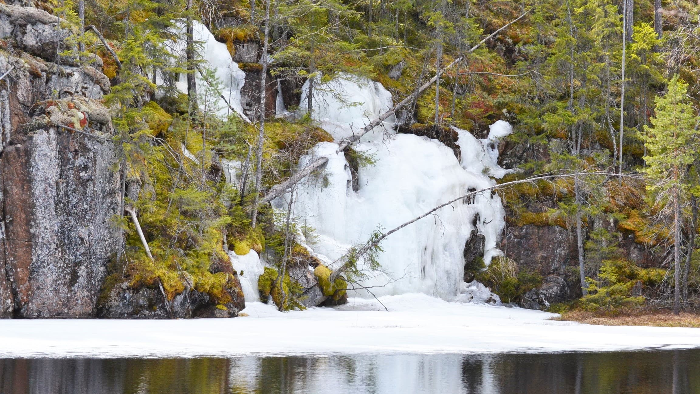 Kuva: Janita Juvakka Keväinen jääputous metsäisessä kalliorannassa.