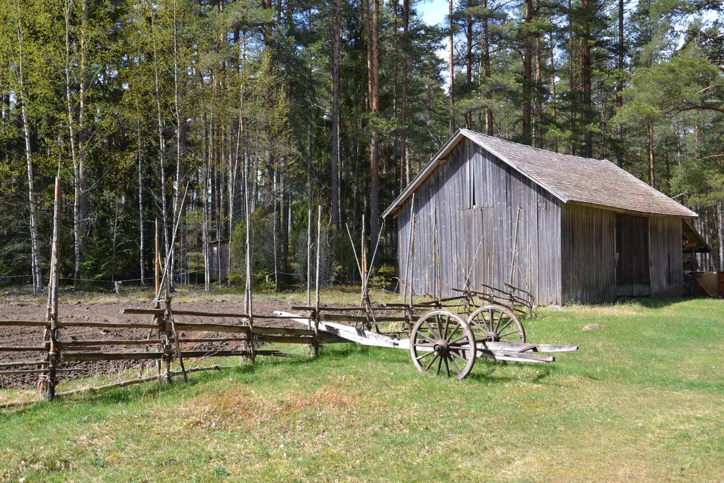 Image: Outi Mäenpää Vanha lato ja aitaa.