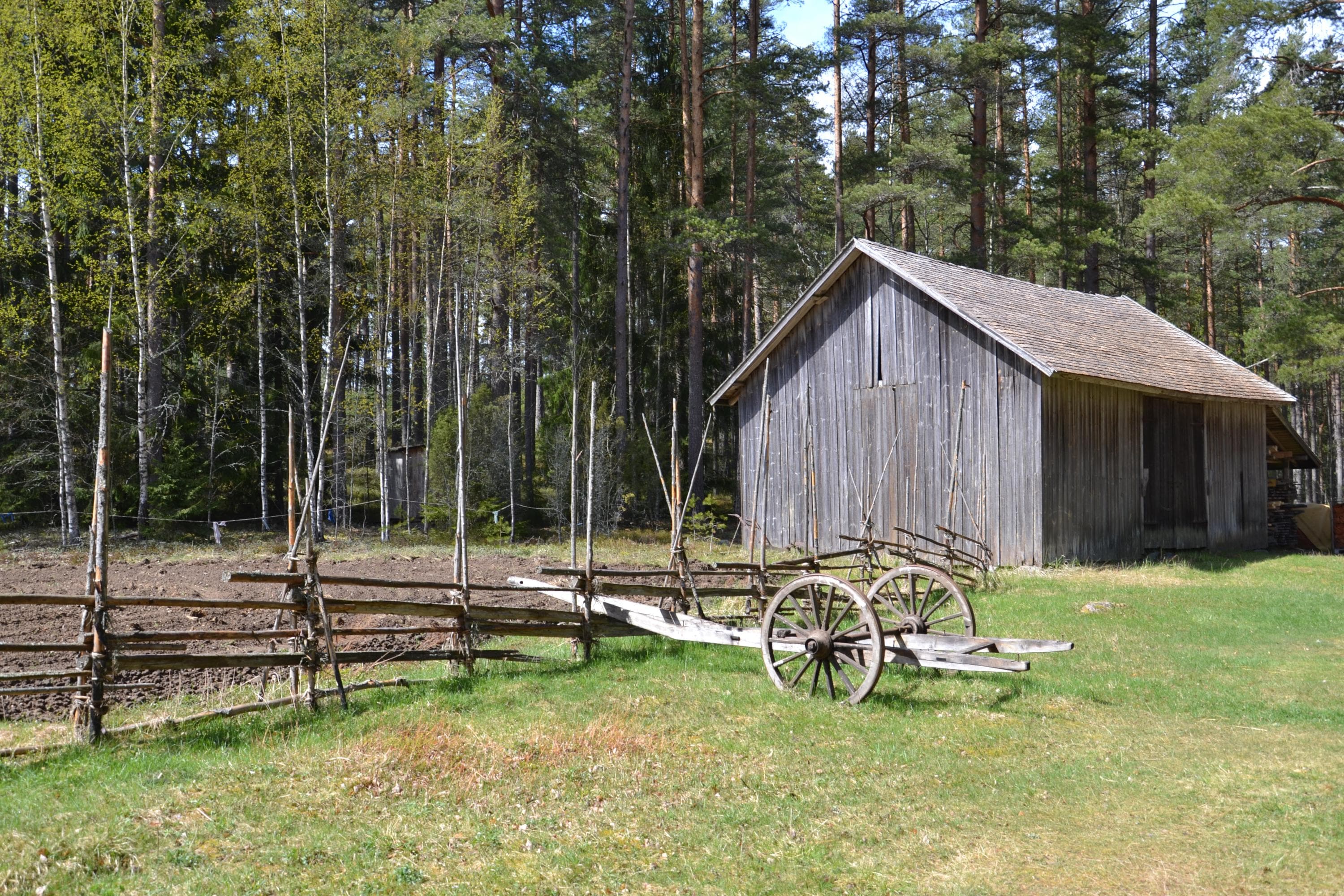 Kuva: Outi Mäenpää Vanha lato ja aitaa.
