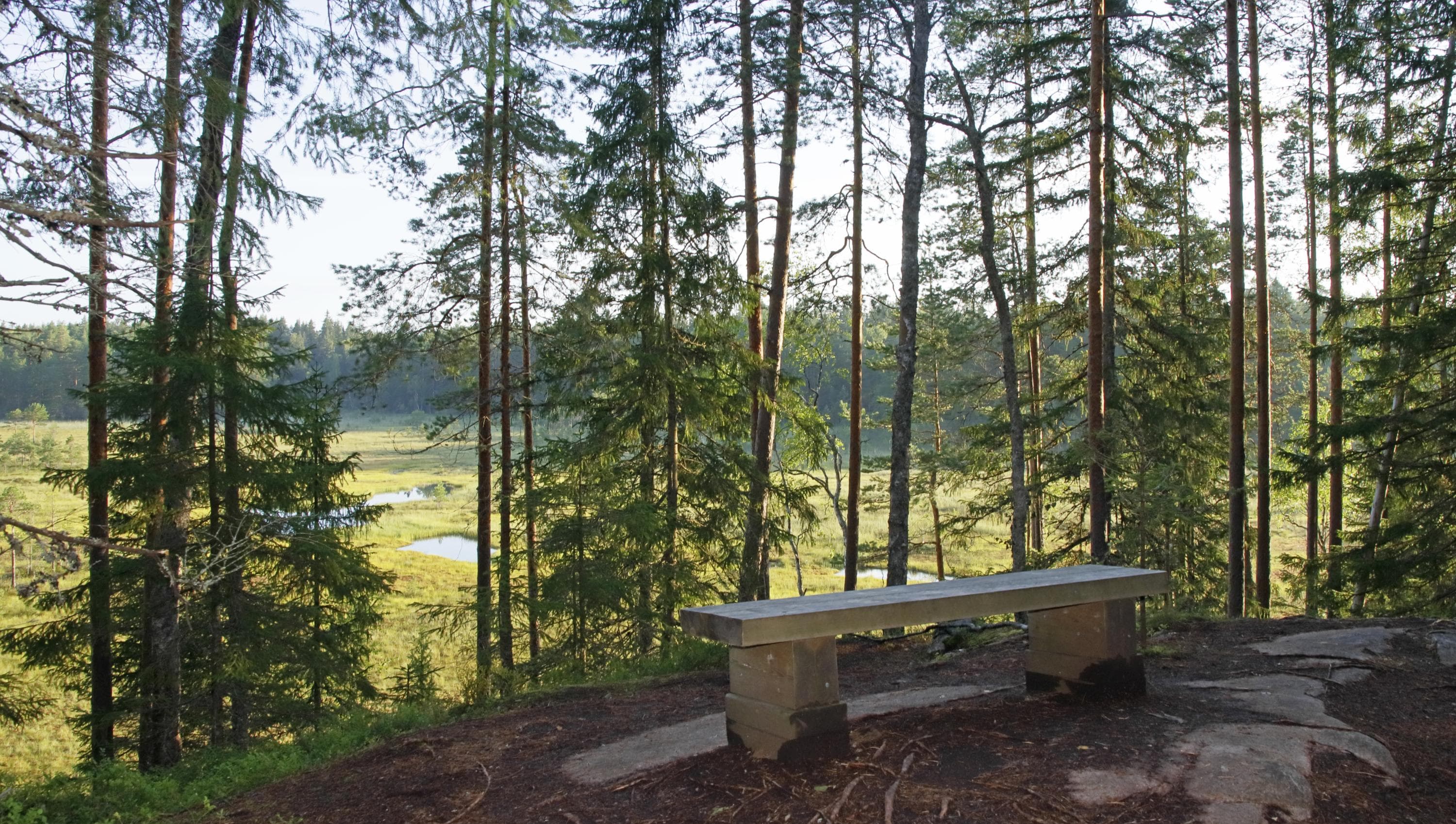 Kuva: Jussi Helimäki Levähdyspenkiltä on näkymä puiden lomitse alempana olevalle suolle.