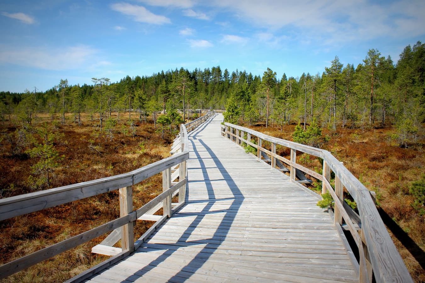 Kuva: Anniina Mäensivu Leveä. kaiteellinen lankkupolku suolla.