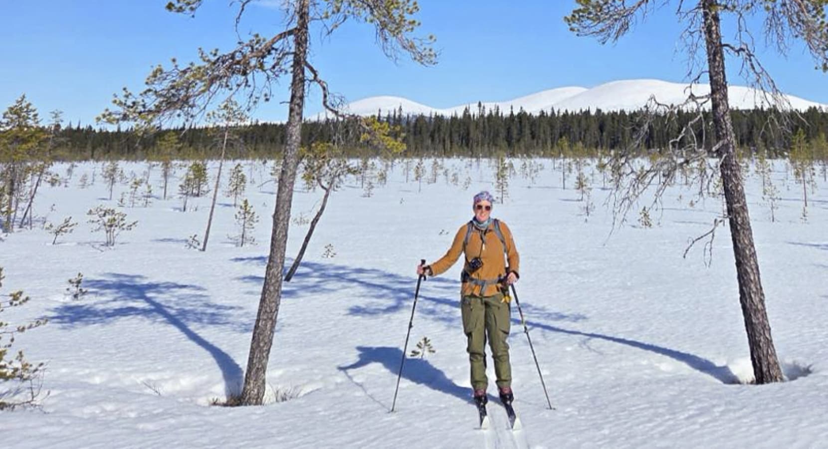 Kuva: Pakkanen Hiihtäjä harvassa kasvavien puiden keskellä. Taustalla lumisia tunturinhuippuja.
